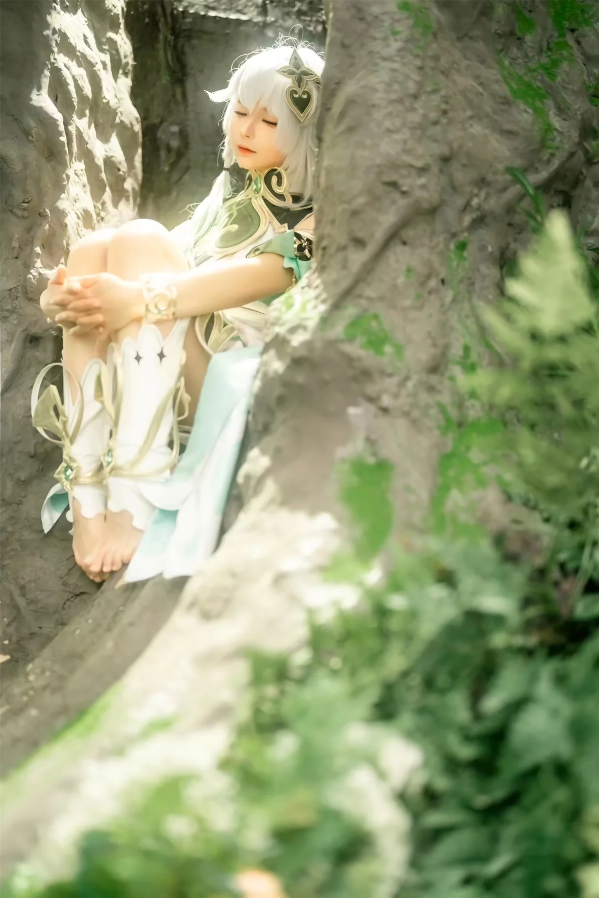 NO.209 – 大慈树王 [25P-176M] NO.0000