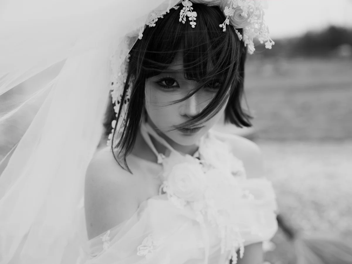 NO.312 – 2024年会员 王动作品集 [104P1V-248M] NO.0000