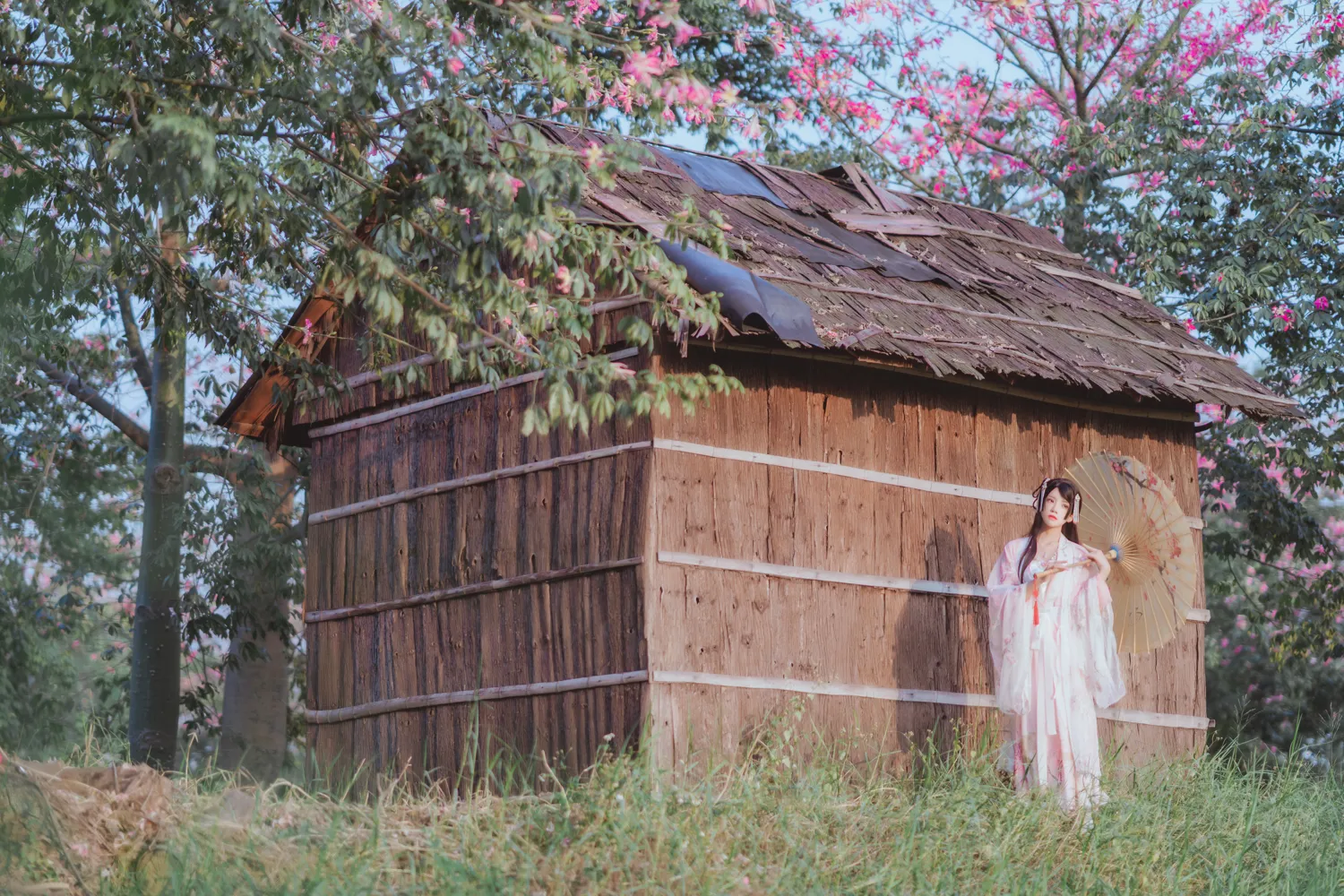 桜桃喵 – NO.099_003 桃花 NO.0000