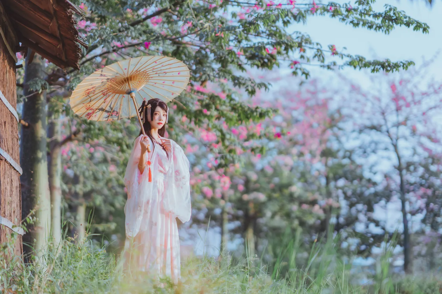 桜桃喵 – NO.099_003 桃花 NO.0000