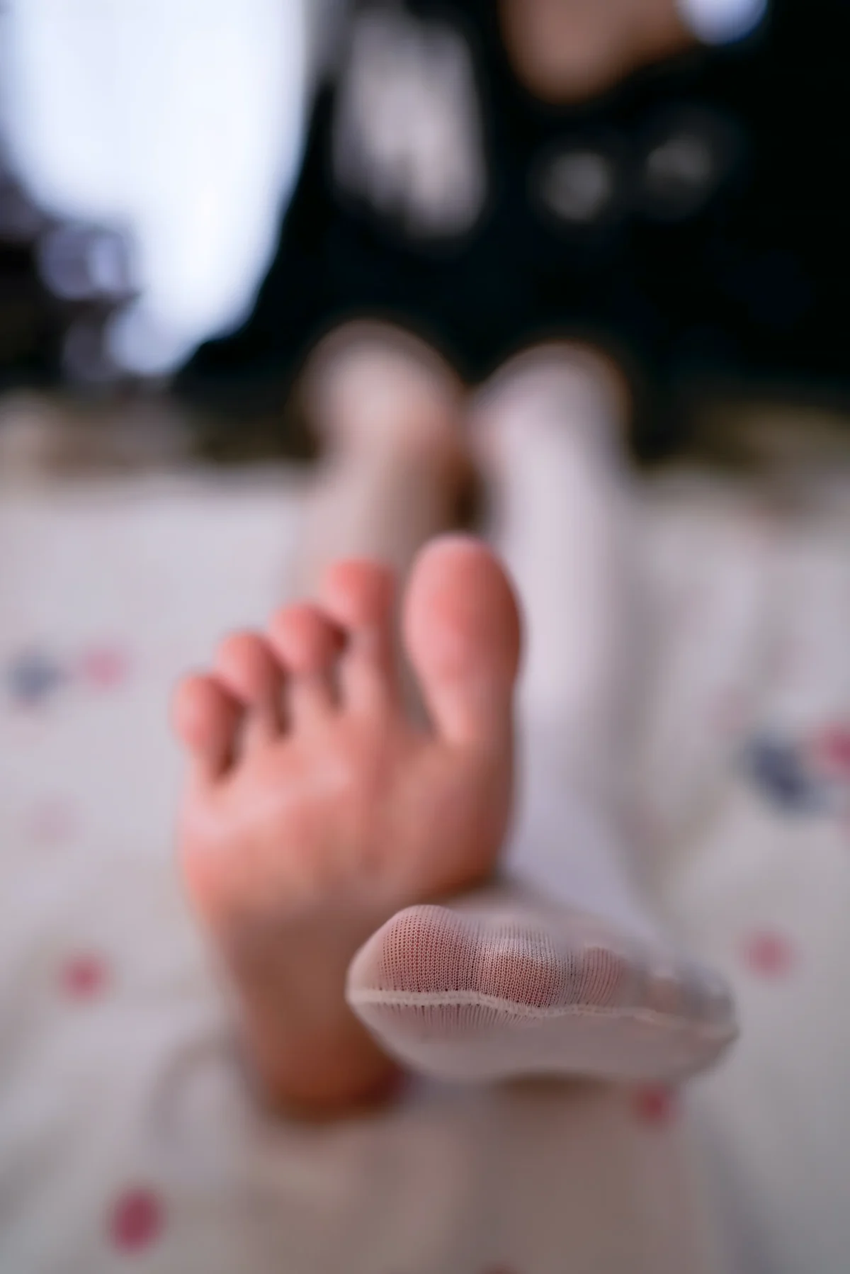 桜桃喵 NO.217 缅因猫猫-团子研究社