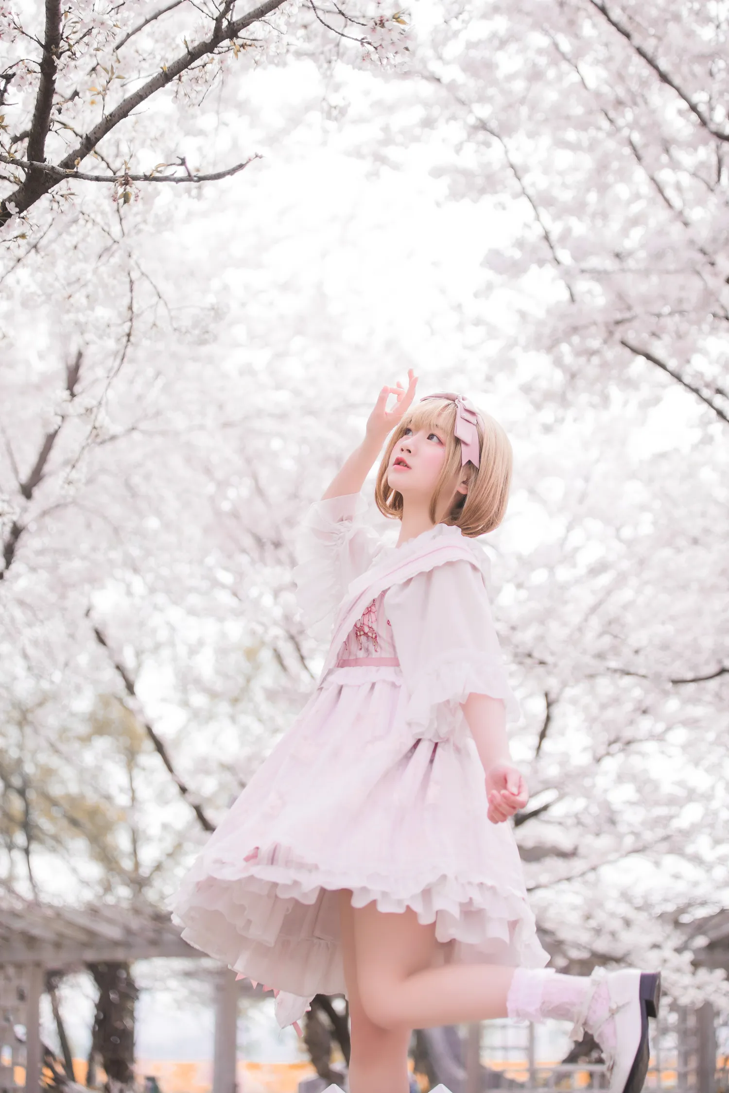 弦音sic NO.024 lolita私影 樱花 NO.0000