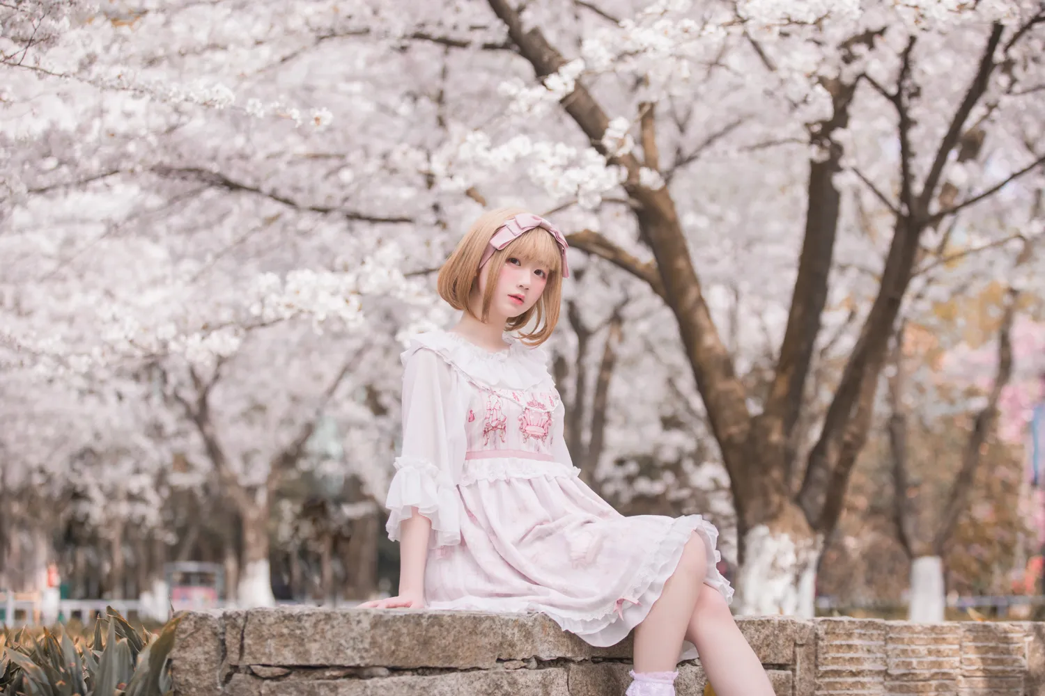 弦音sic NO.024 lolita私影 樱花 NO.0000