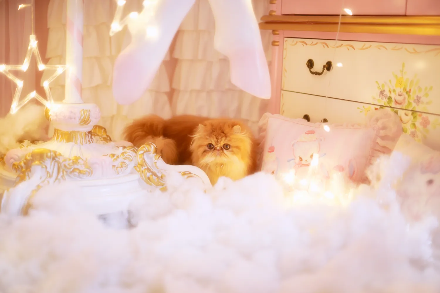 鳗鱼霏儿 NO.045 猫 NO.0000