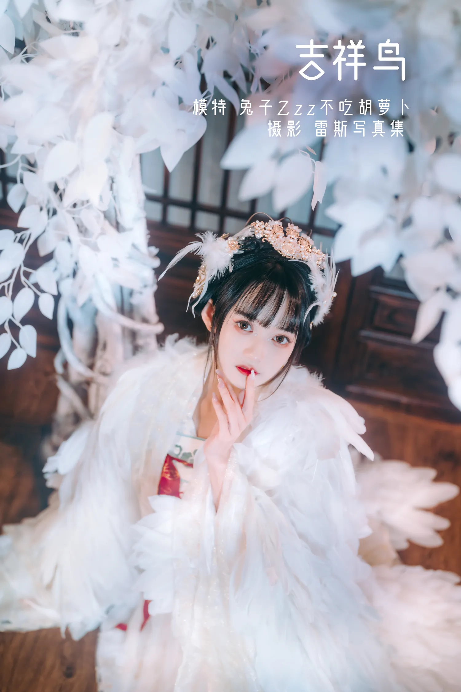 兔子Zzz NO.011 吉祥鸟 NO.0000