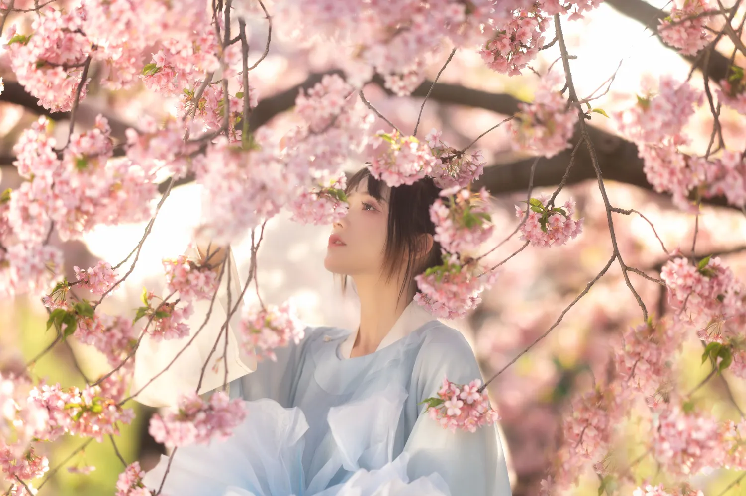 兔子Zzz NO.035 花满衣 NO.0000