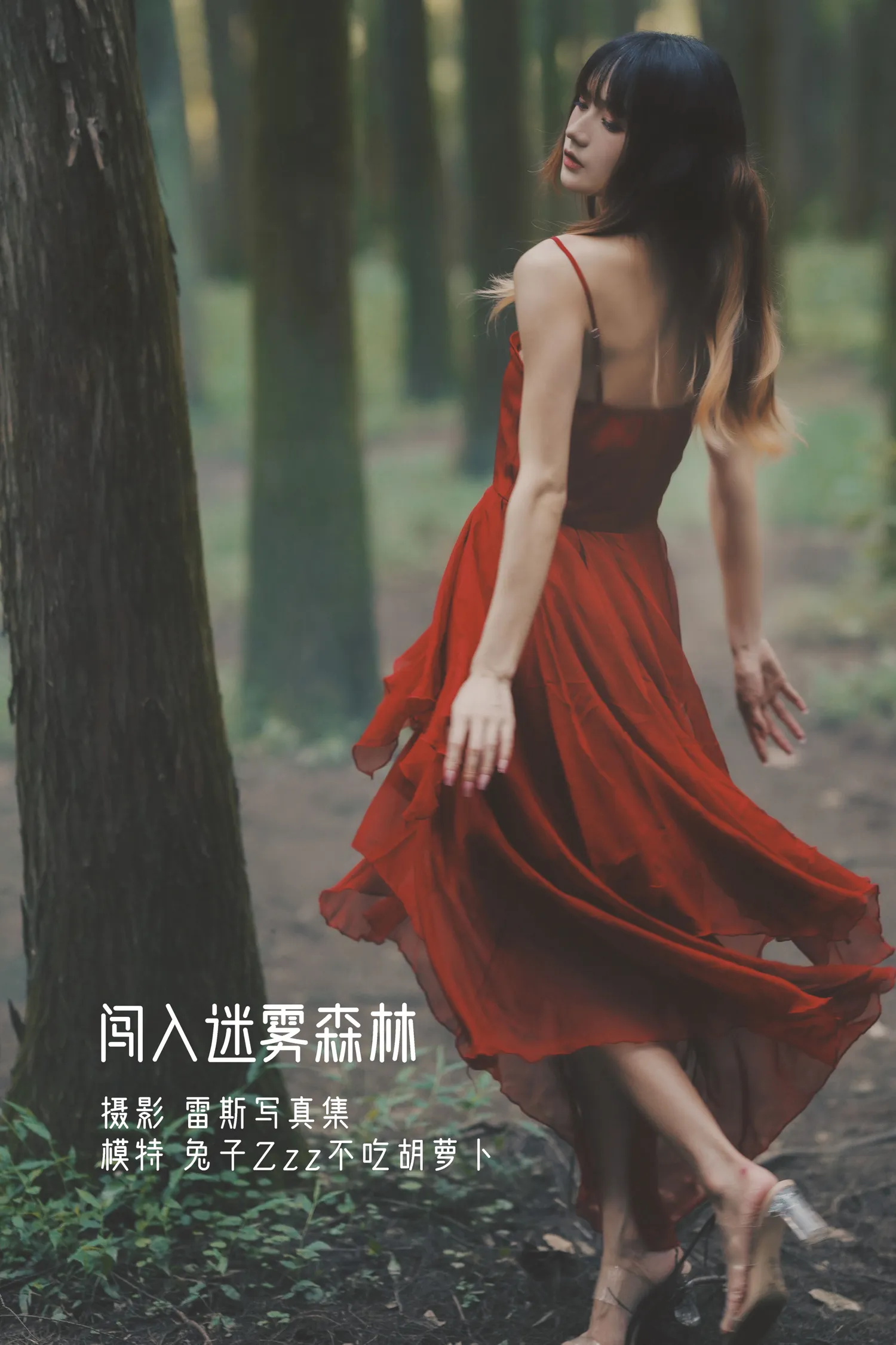兔子Zzz NO.040 闯入迷雾森林 NO.0000