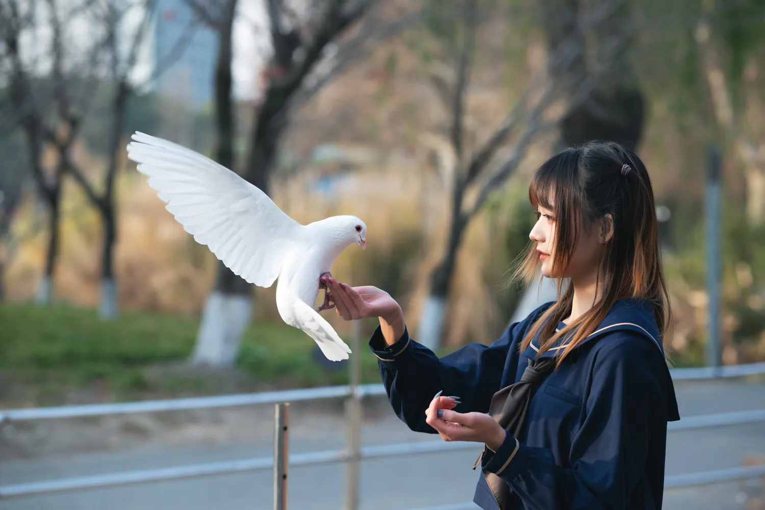 兔子Zzz NO.064 初冬 NO.0000