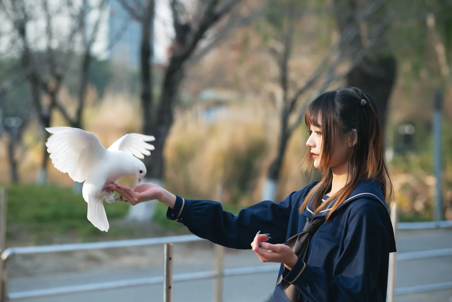 兔子Zzz NO.064 初冬 NO.0000