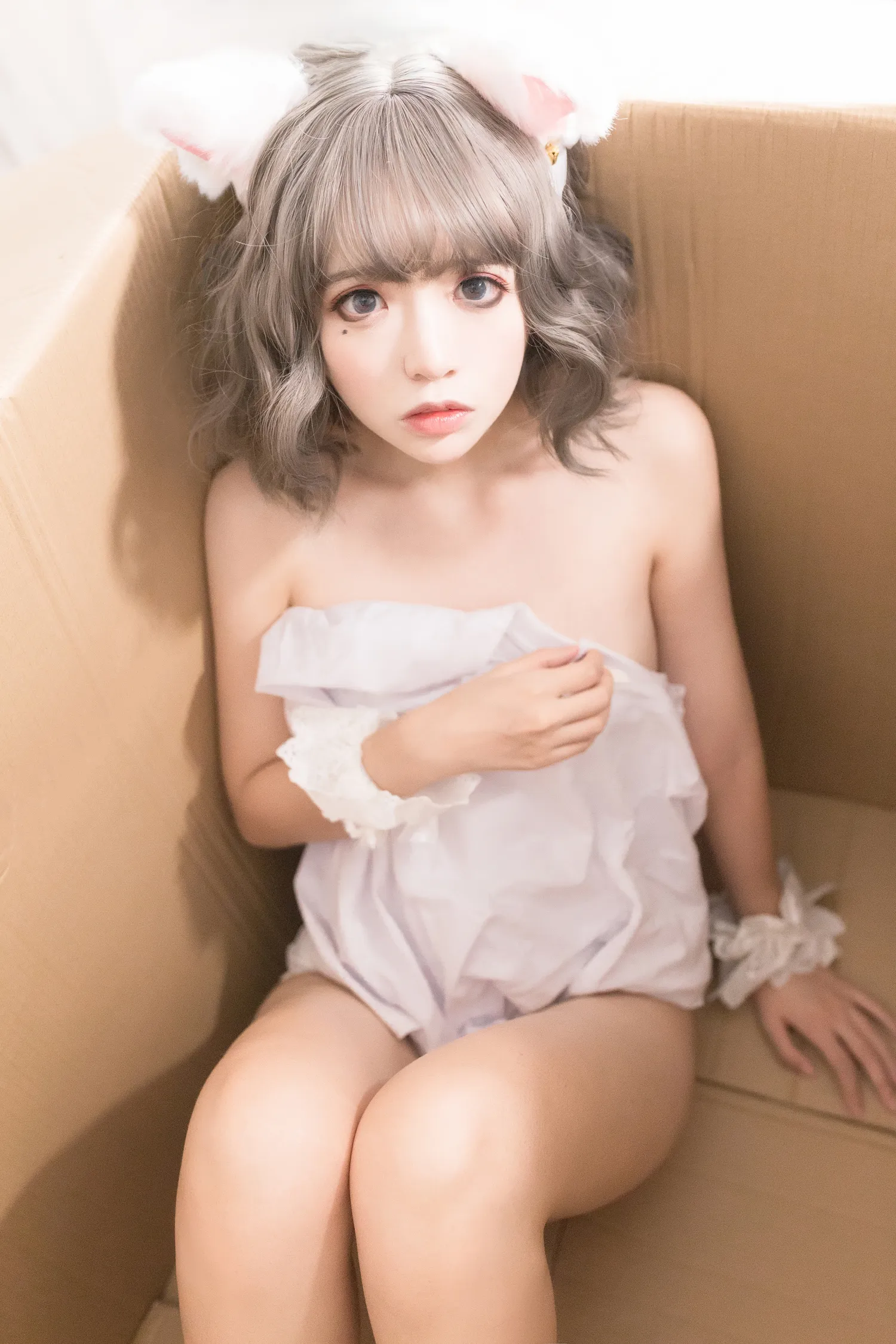 疯猫ss NO.026 白猫 NO.0000
