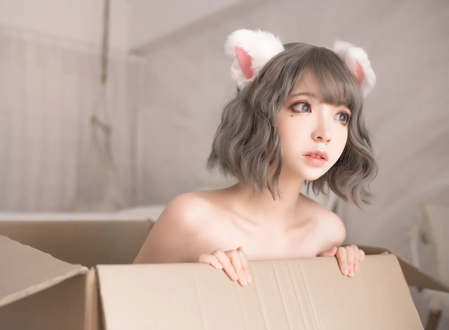 疯猫ss NO.026 白猫 NO.0000