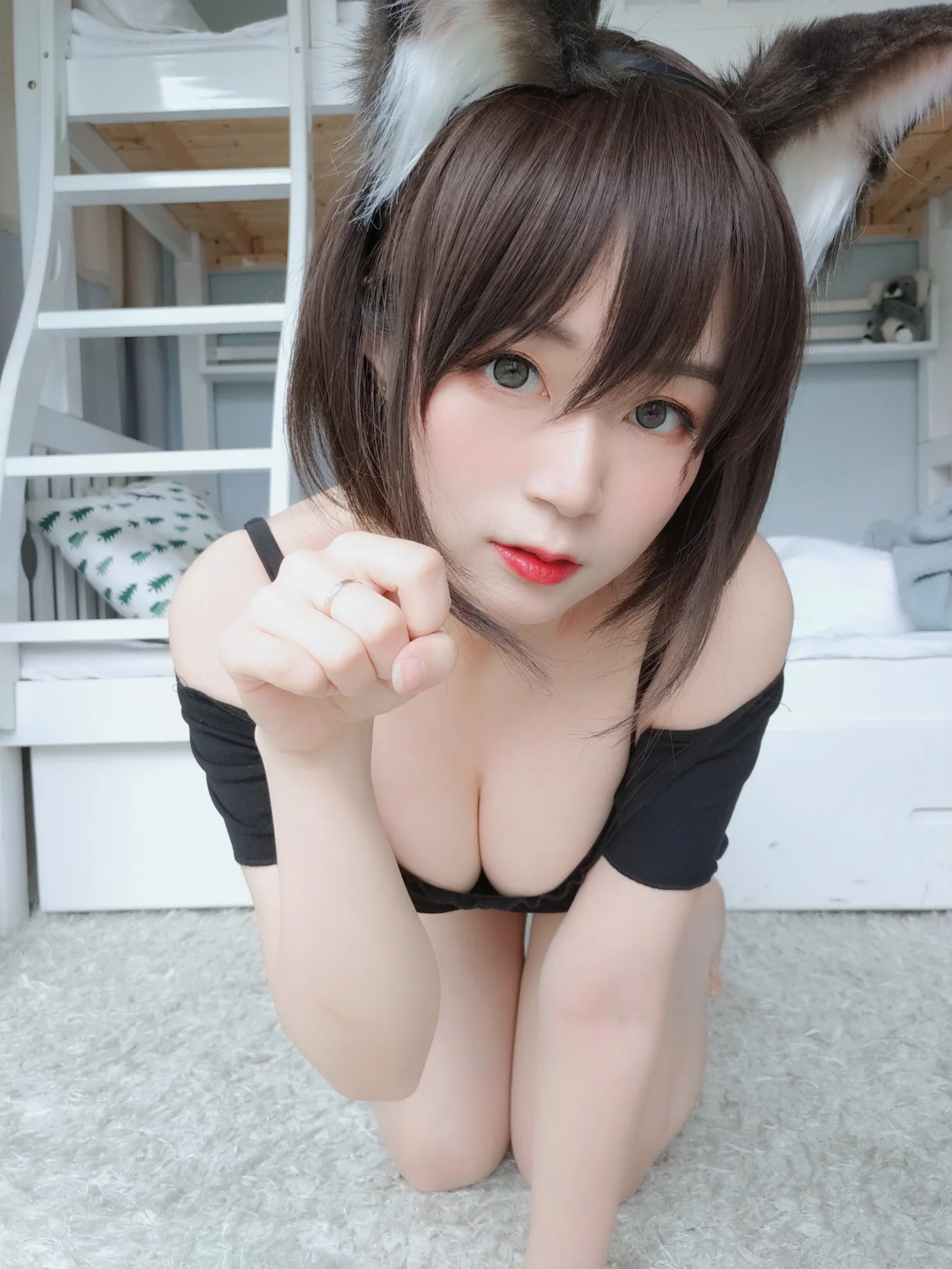 白银81 NO.011 布偶猫 NO.0000