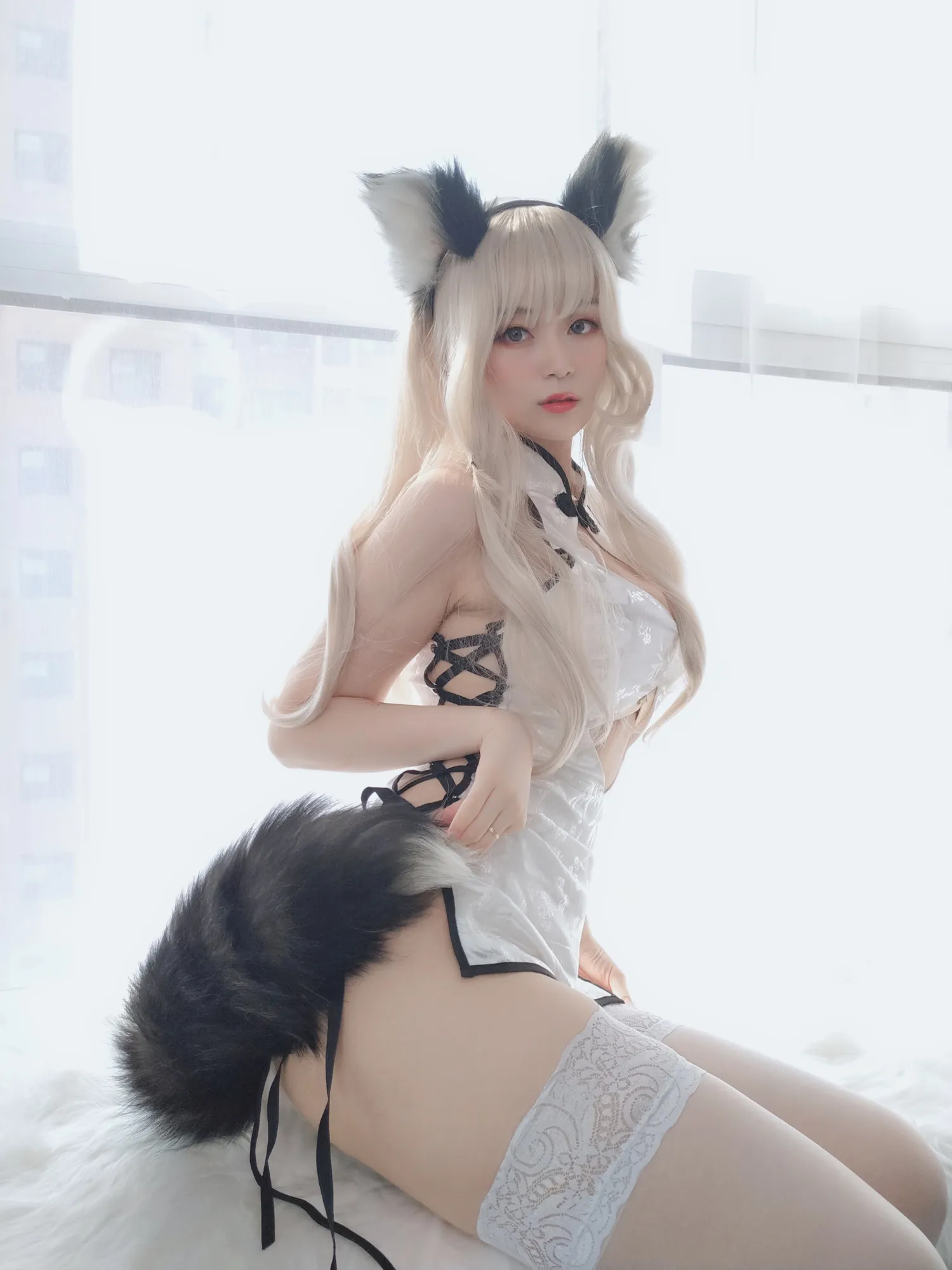 白银81 NO.023 小白狼 NO.0000