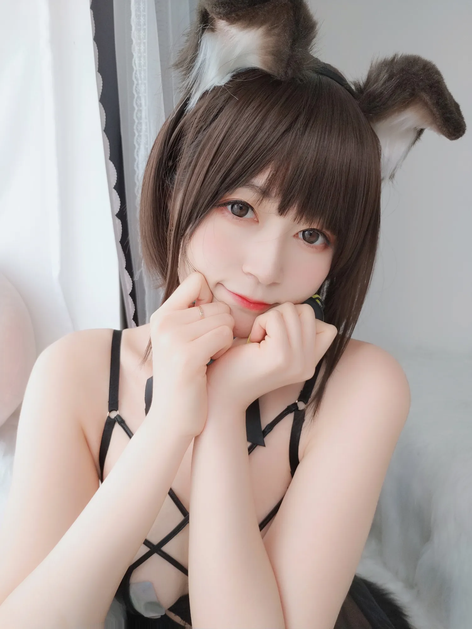 白银81 NO.045 折耳狗 NO.0000