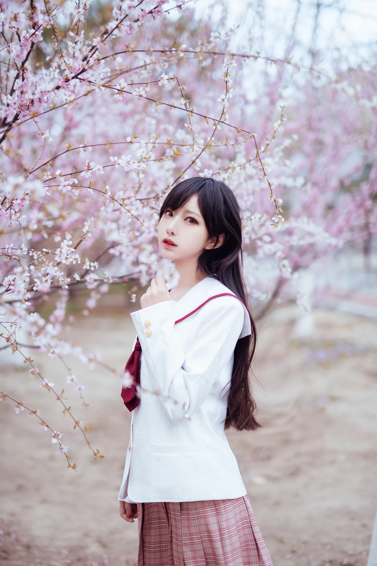 Shika小鹿鹿 NO.062 樱花 NO.0000