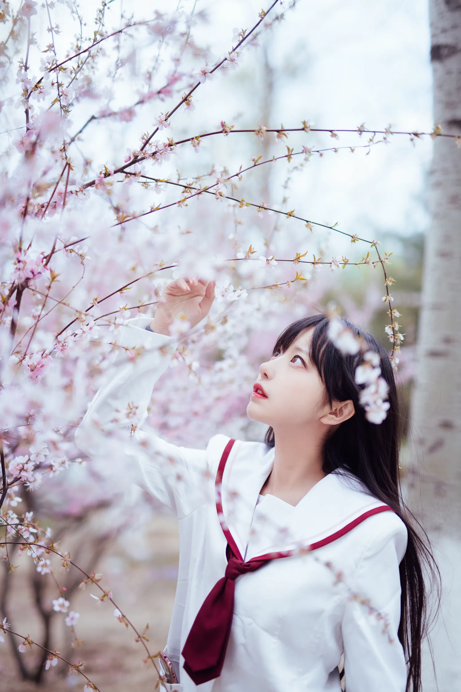 Shika小鹿鹿 NO.062 樱花 NO.0000