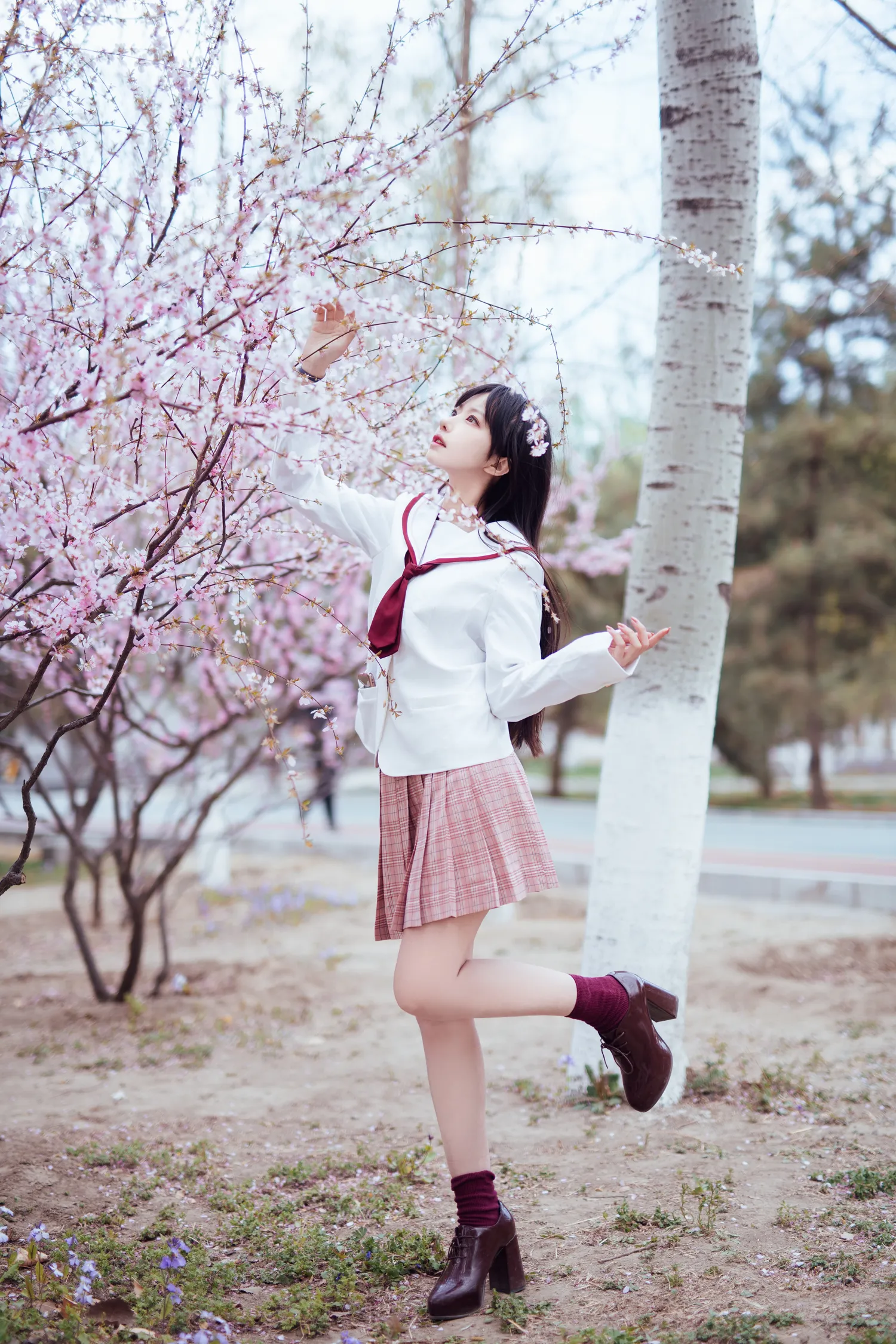 Shika小鹿鹿 NO.062 樱花 NO.0000