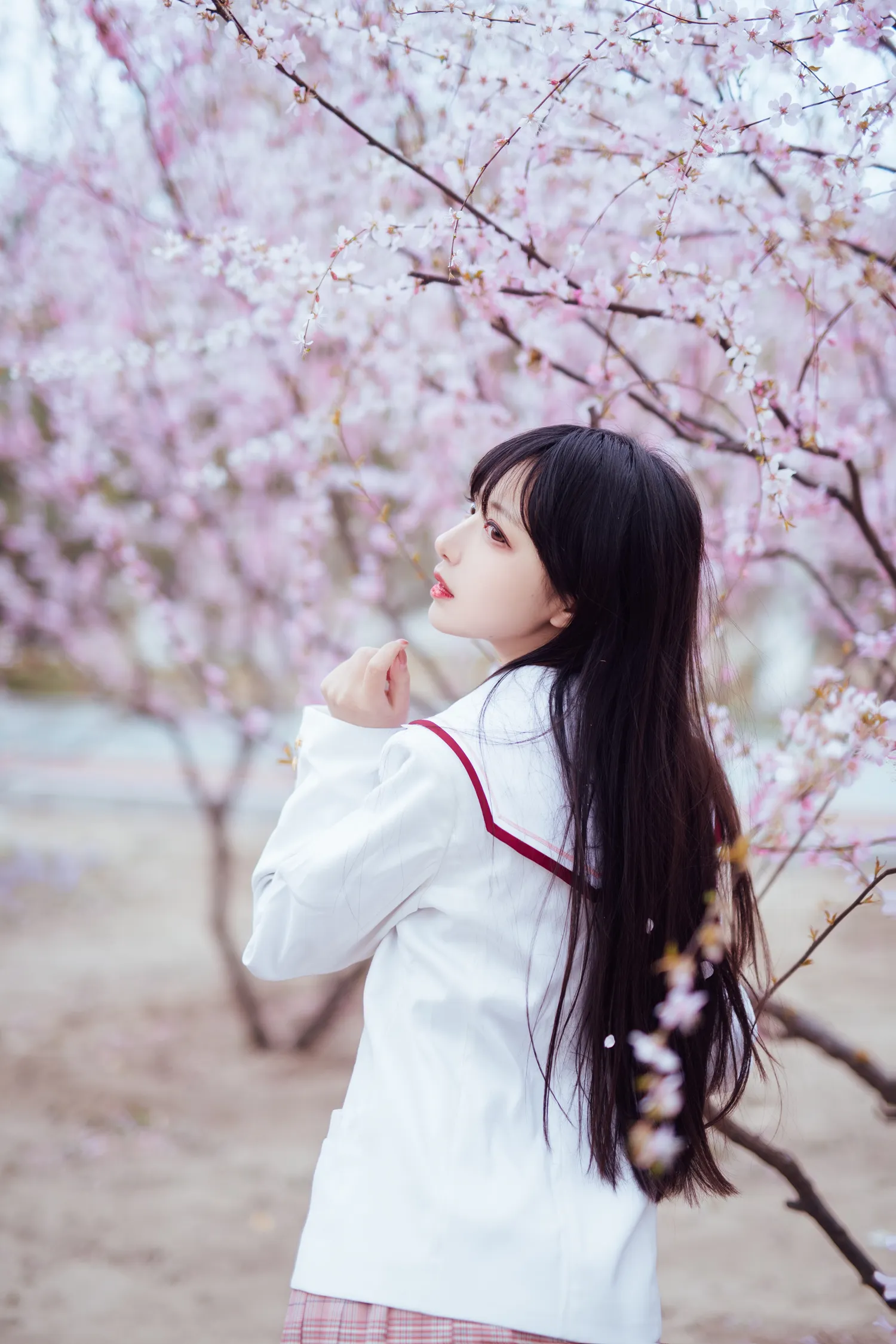 Shika小鹿鹿 NO.062 樱花 NO.0000