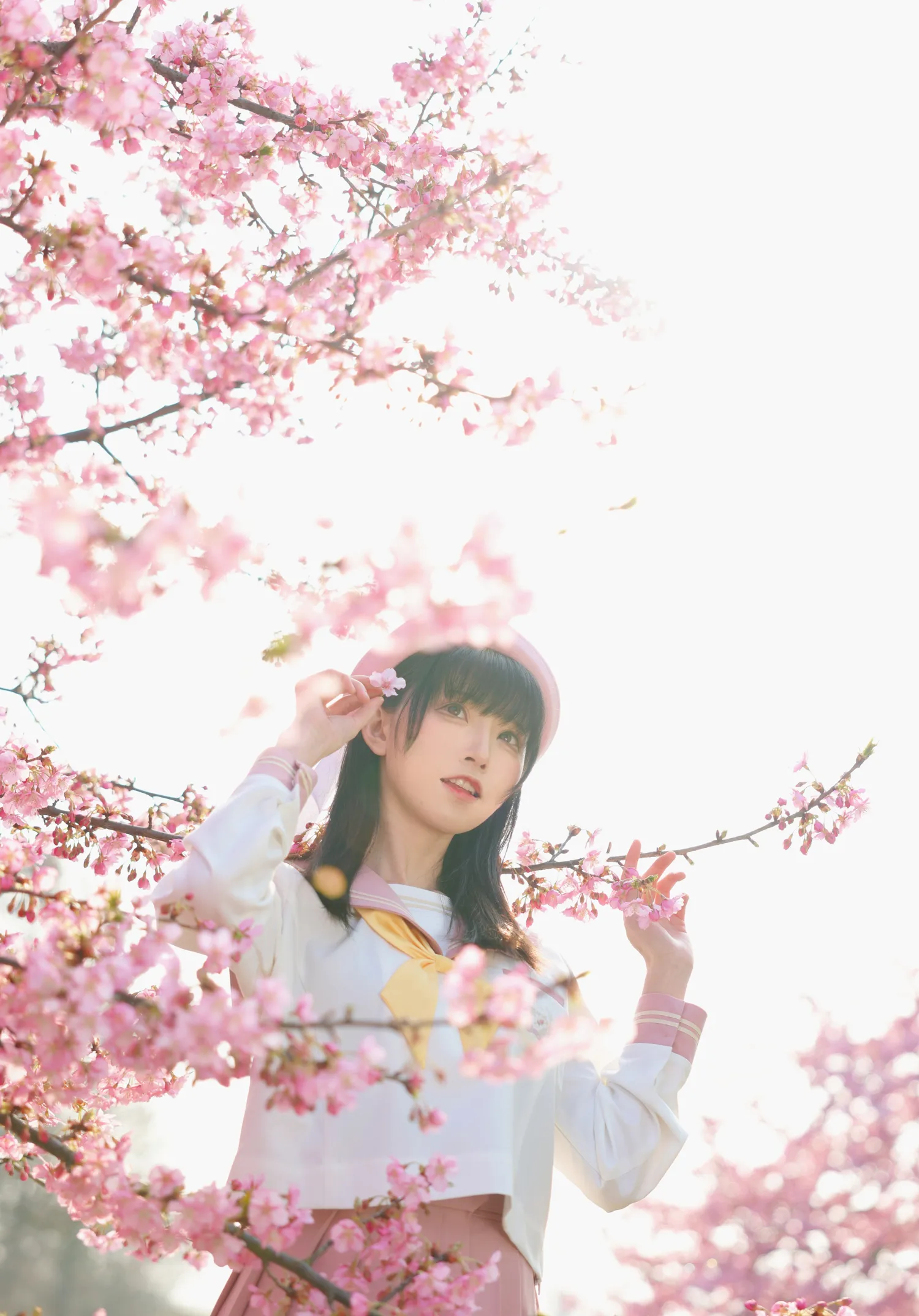 绮太郎 NO.107 樱花 NO.0000