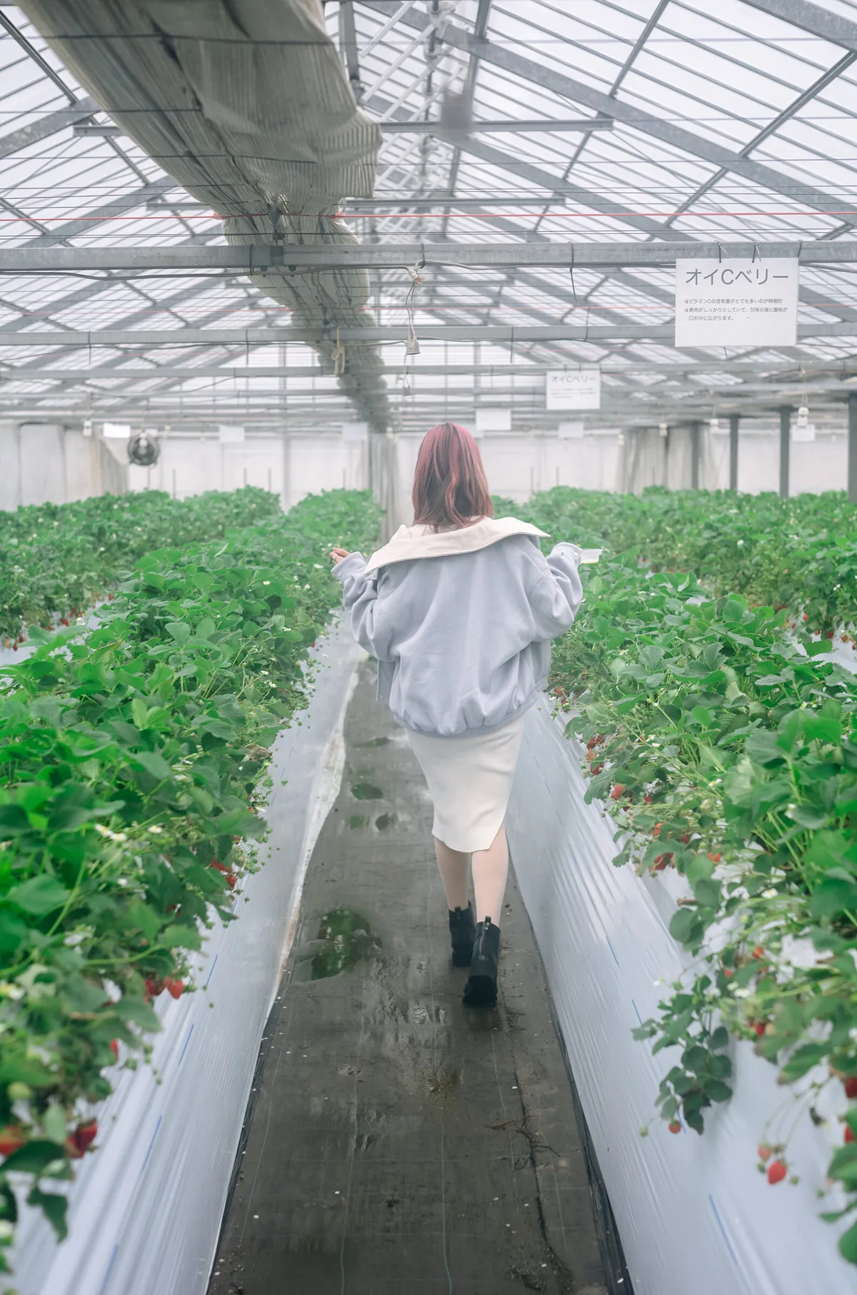 ElyEE子 NO.134 Strawberry Picking Date NO.0000