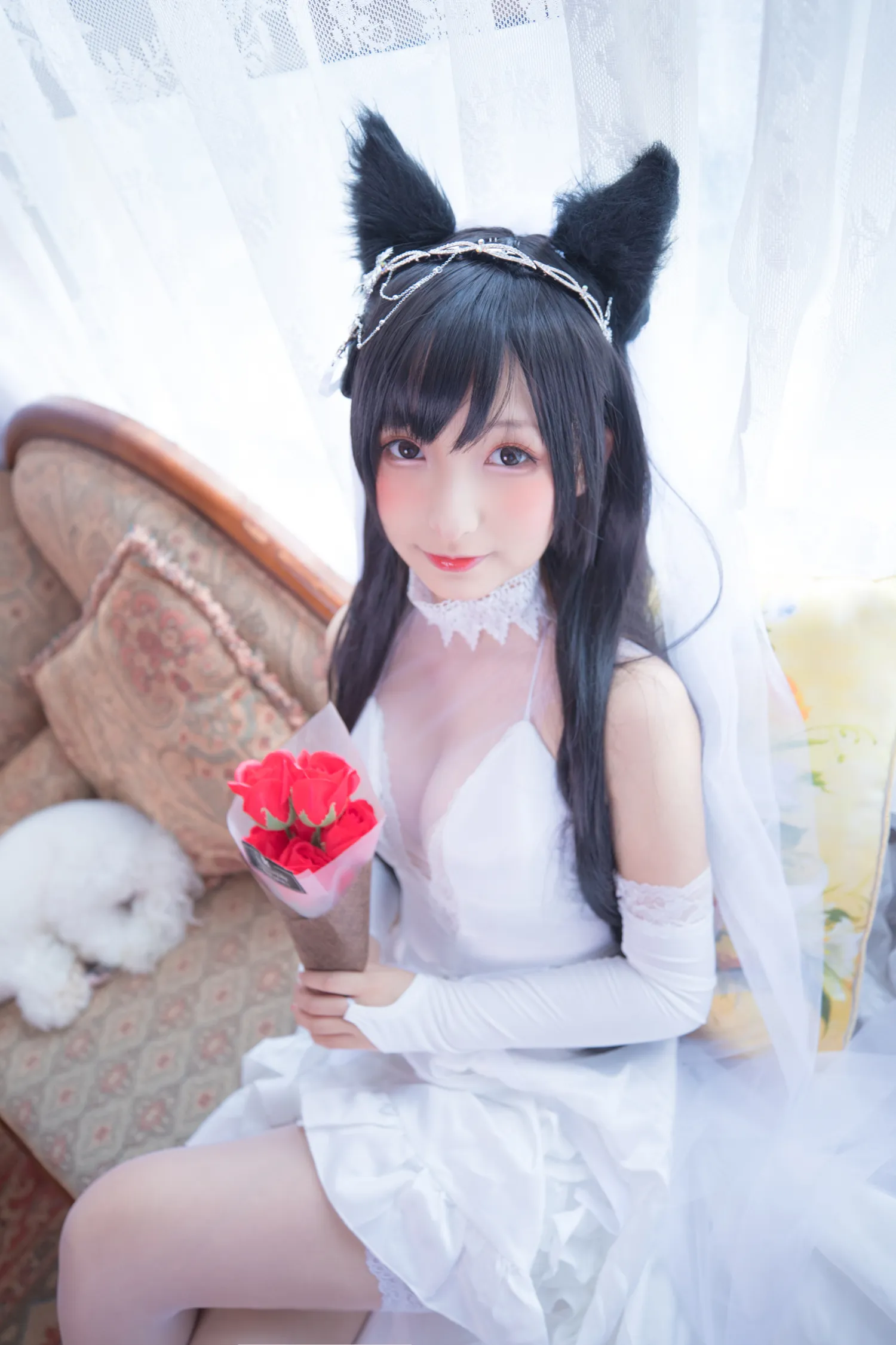 神楽坂真冬 NO.031 明日の花嫁 NO.0000