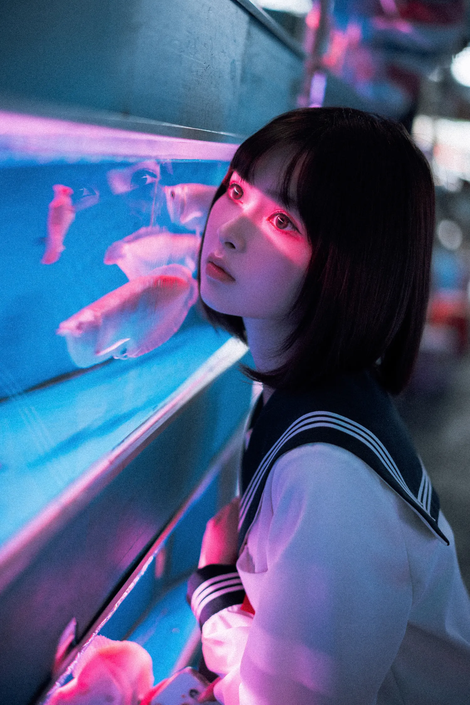 河豚抚子 NO.011 金鱼JK NO.0000