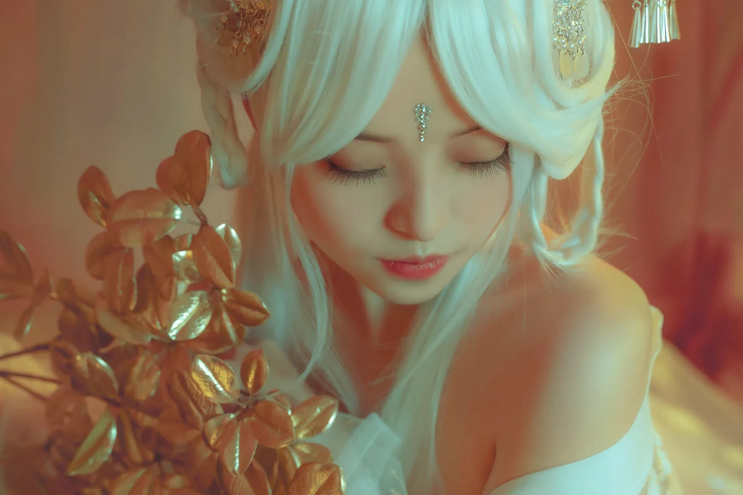 胡桃猫 NO.029 魔幻乐园 NO.0000