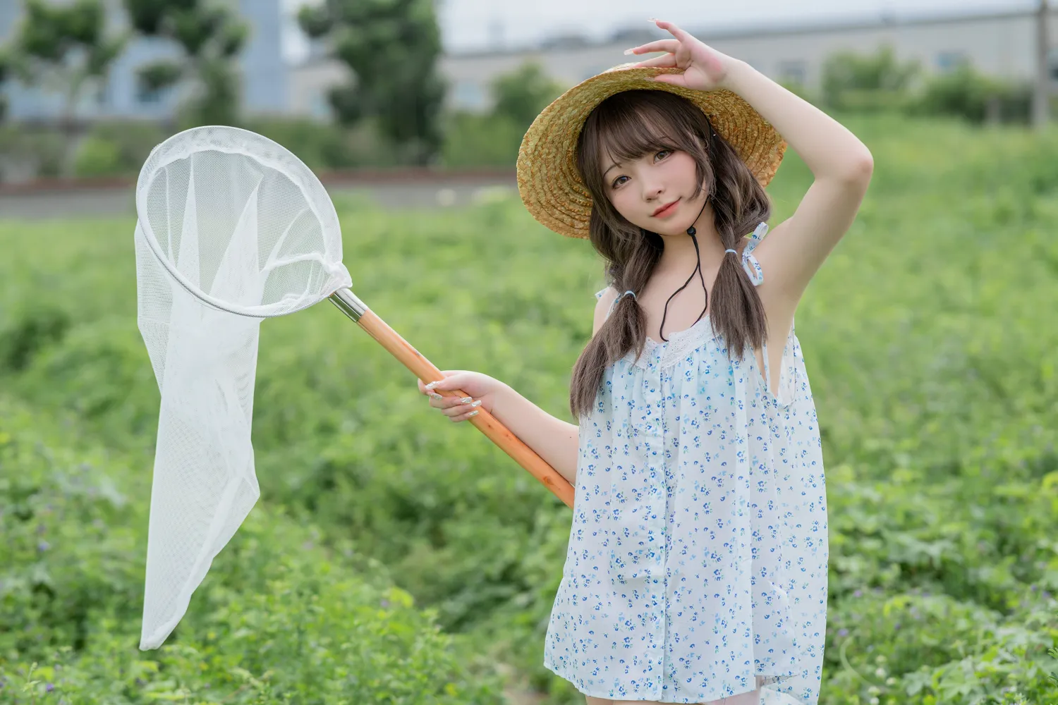 花铃 NO.003 田野 NO.0000