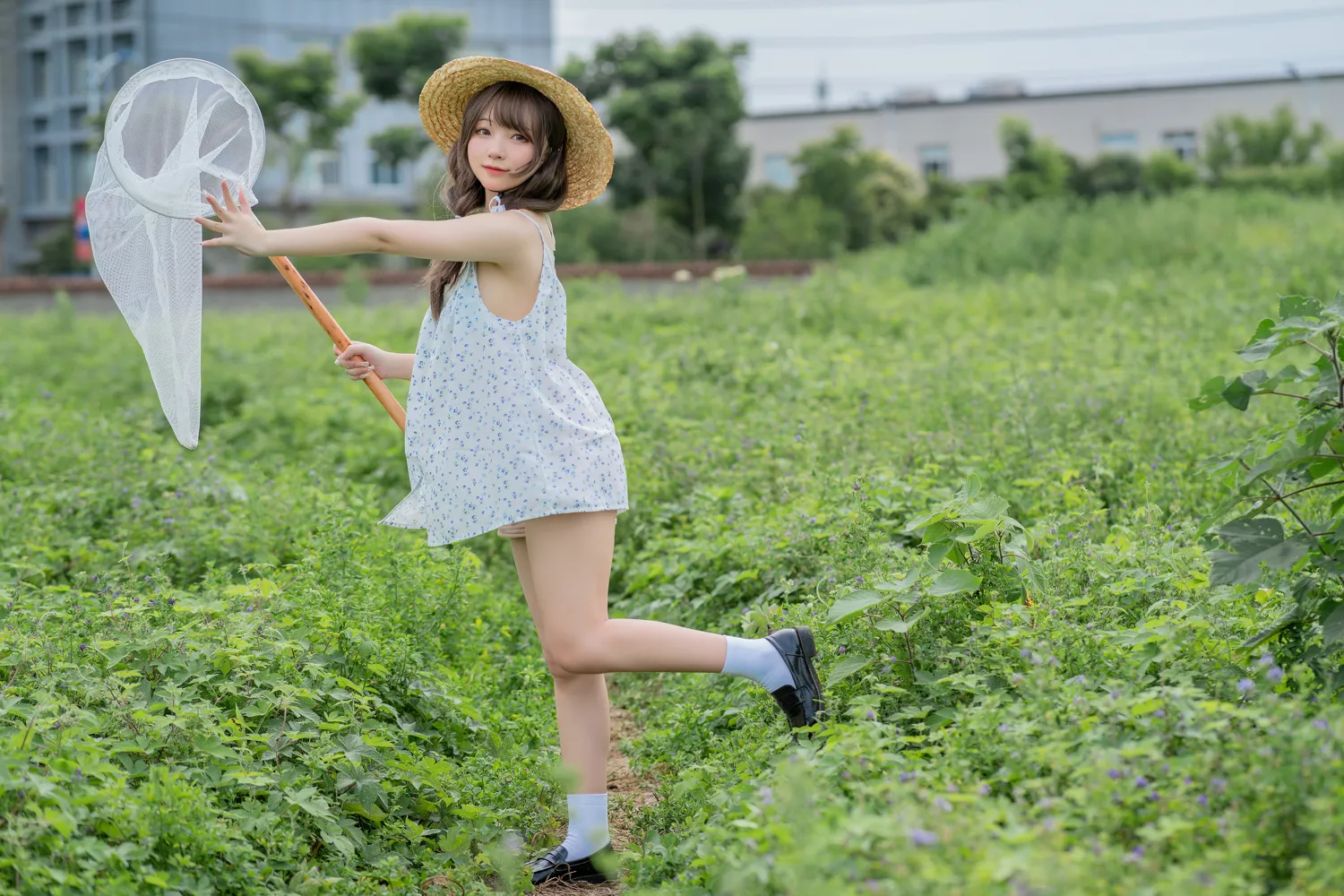 花铃 NO.003 田野 NO.0000