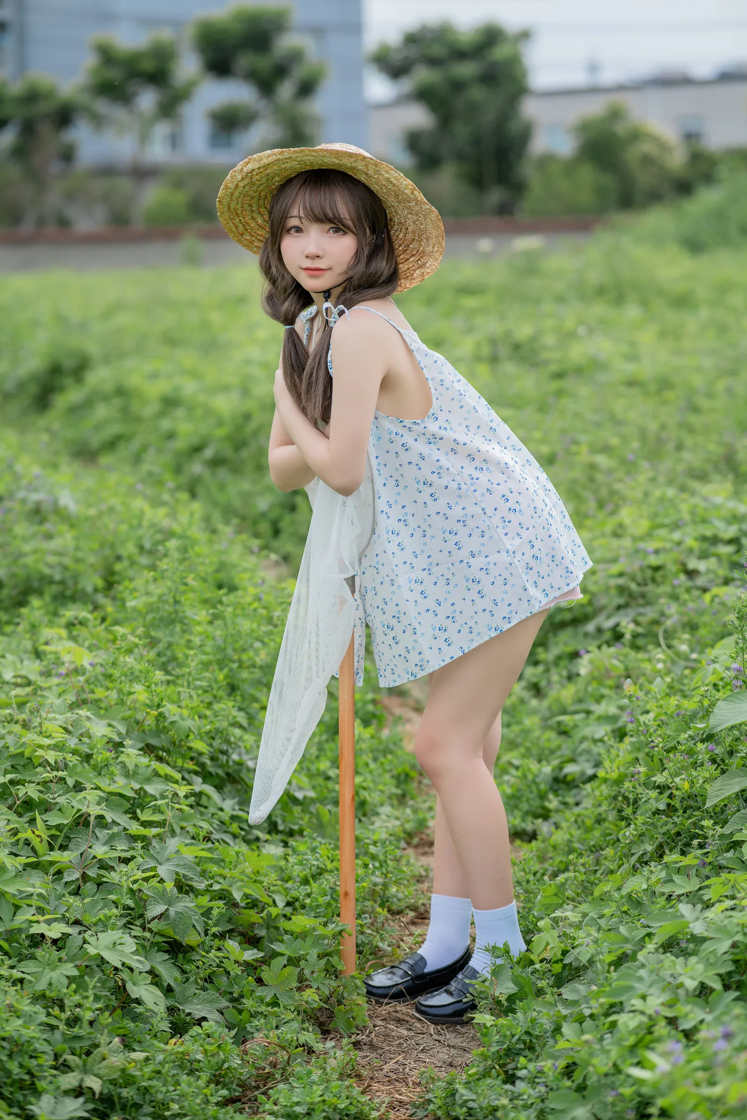 花铃 NO.003 田野 NO.0000
