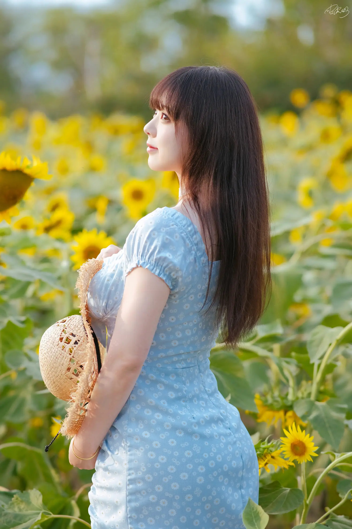 皮皮奶 NO.059 彼女向日葵 NO.0000