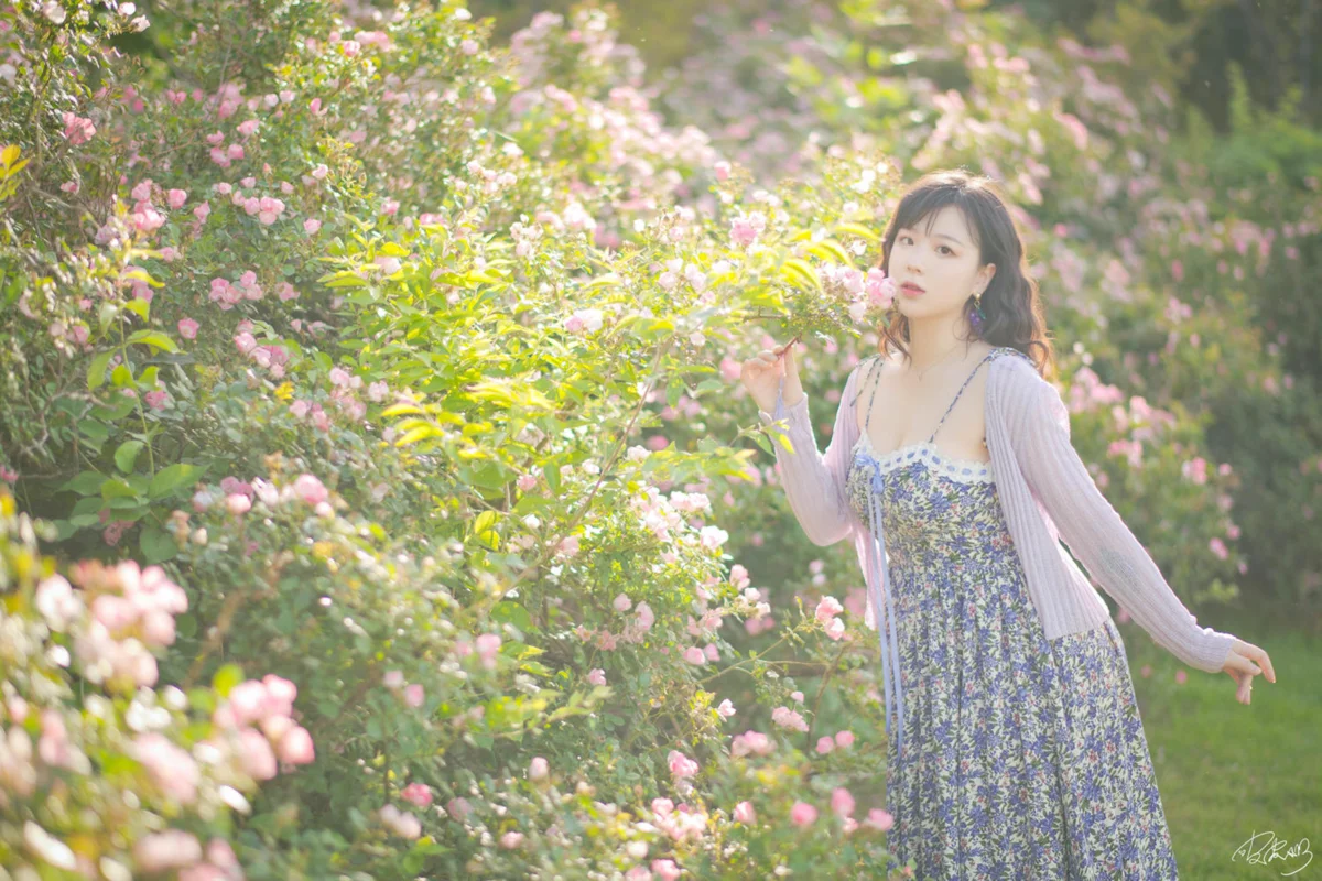 皮皮奶 NO.067 蔷薇花-团子研究社