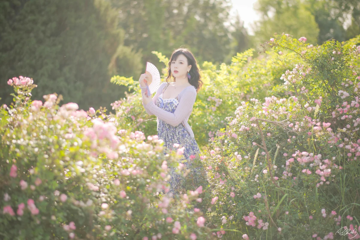 皮皮奶 NO.067 蔷薇花 NO.0000