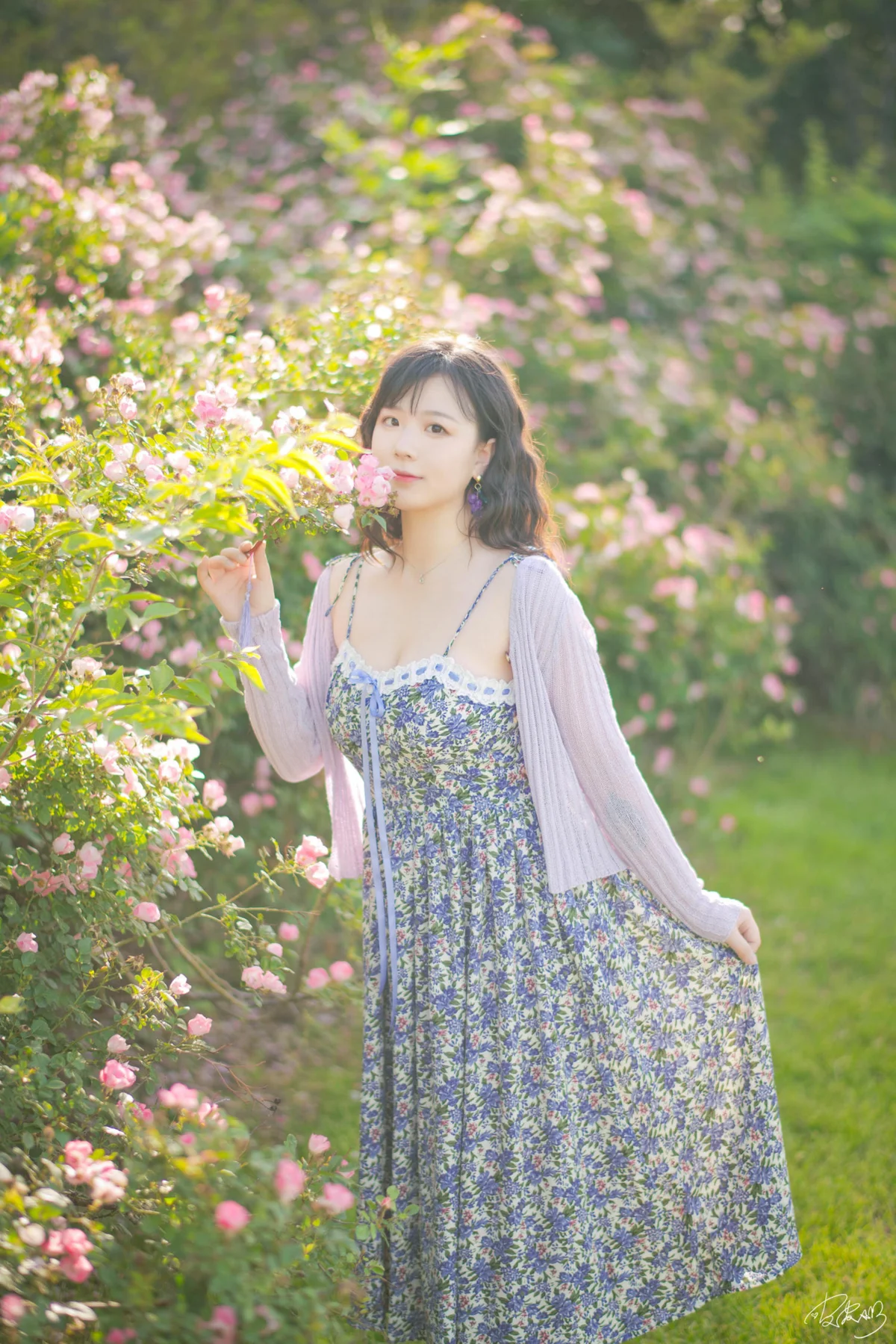 皮皮奶 NO.067 蔷薇花 NO.0000