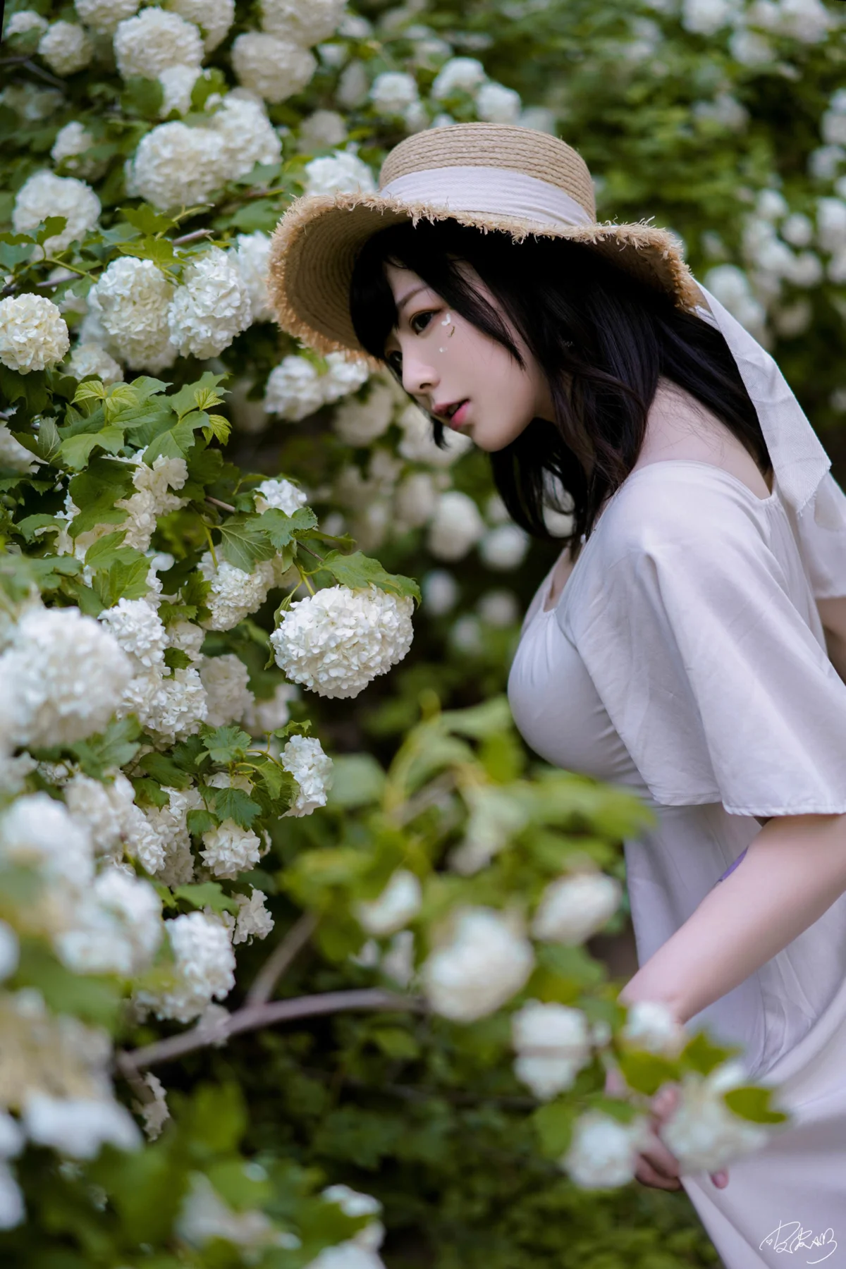 皮皮奶 NO.072 绣球花-团子研究社