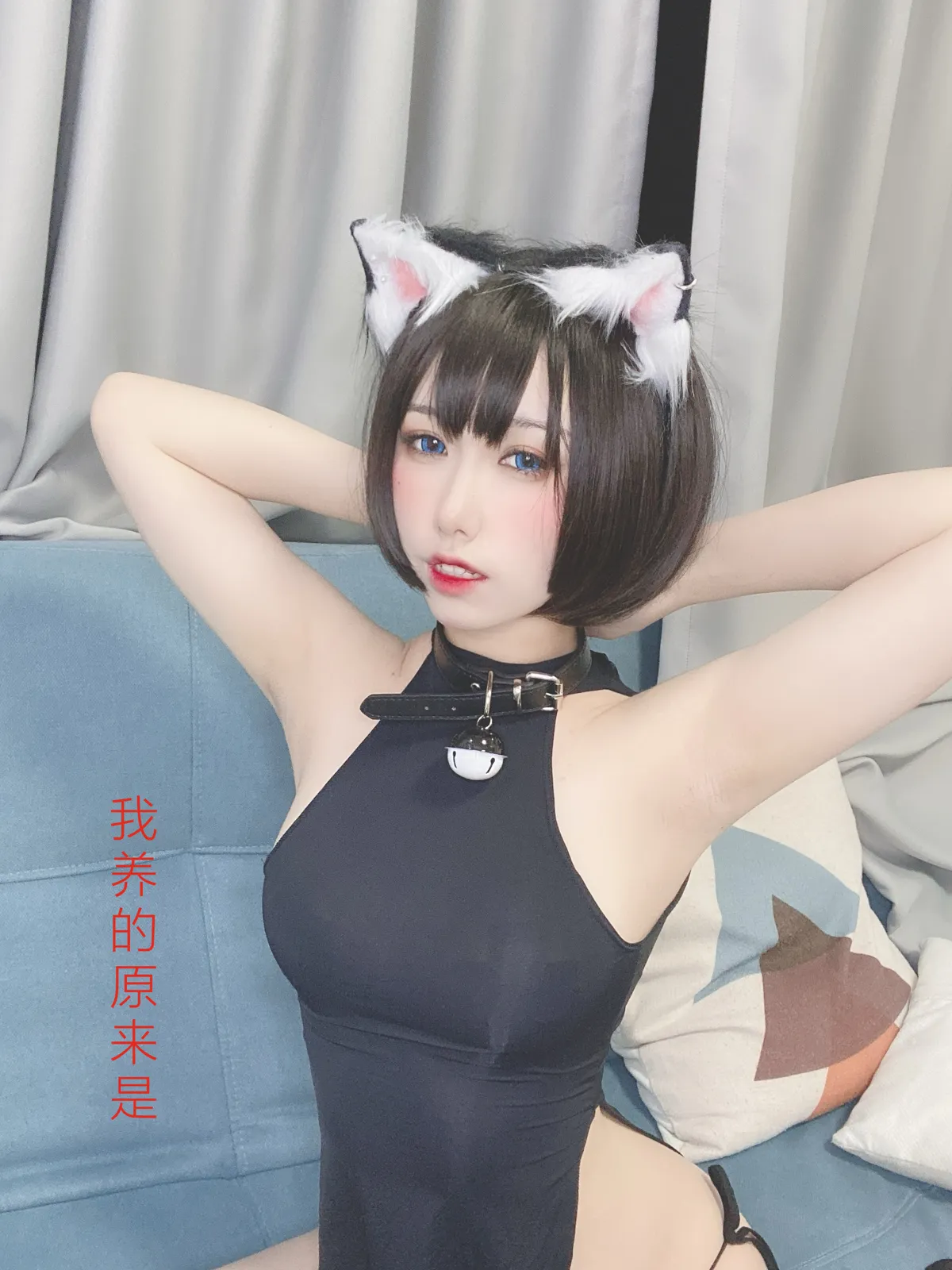 芋圆侑子 NO.027 猫 NO.0000