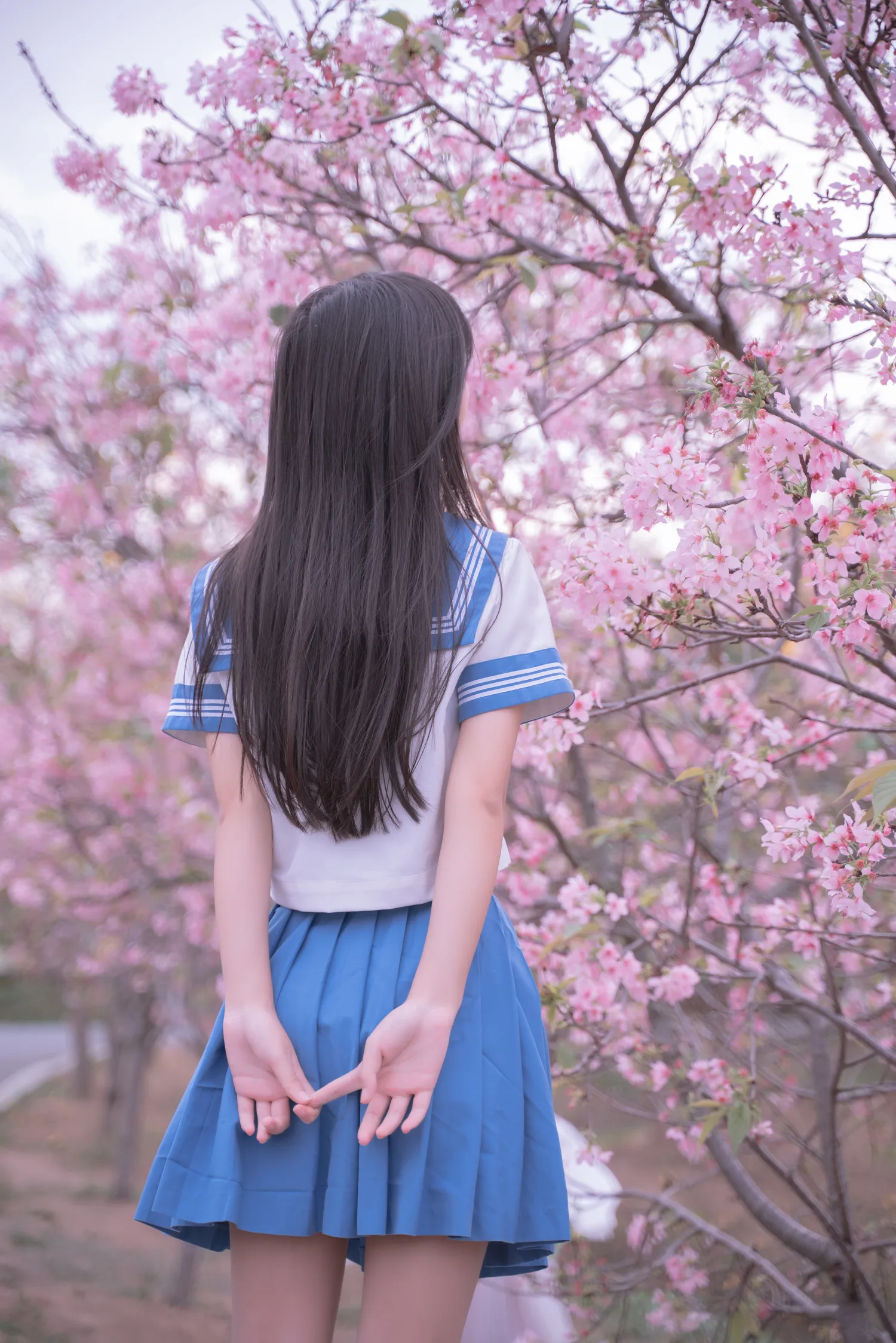 萌芽儿 NO.027 樱花jk NO.0000
