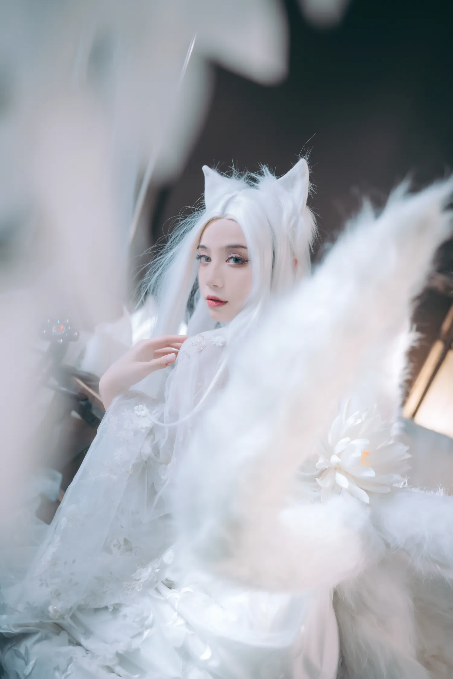 贰加六 NO.008 千雪九尾 NO.0000