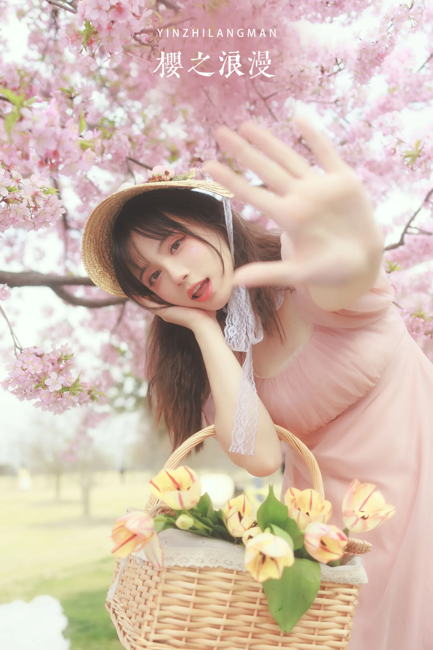贰加六 NO.014 樱之浪漫 NO.0000