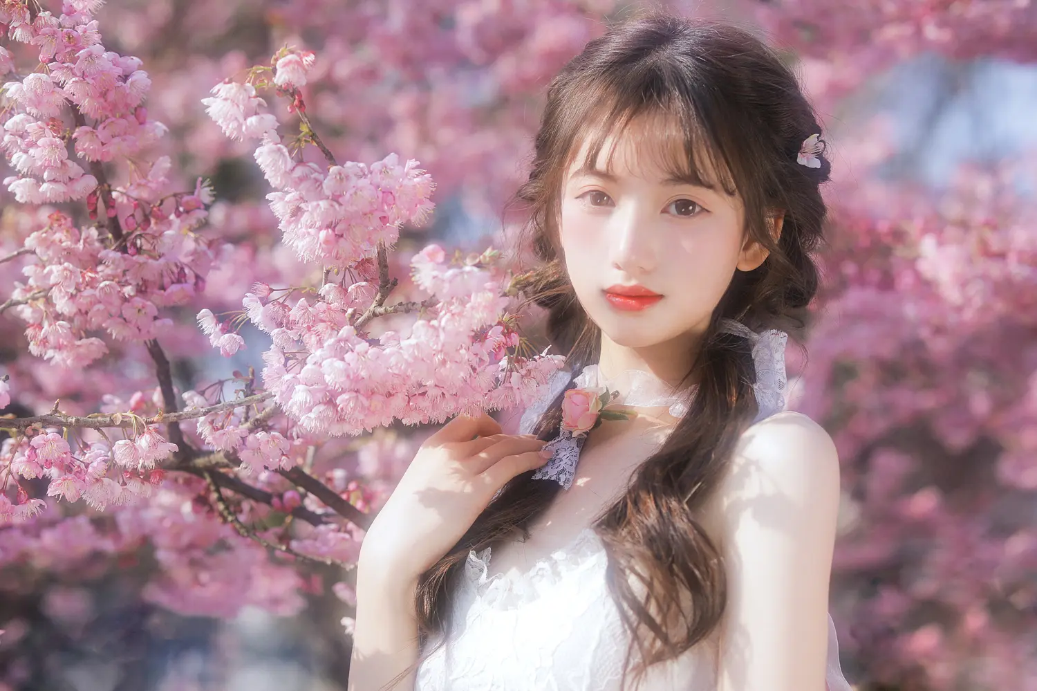 怡子yiii NO.002 樱花限定 NO.0000