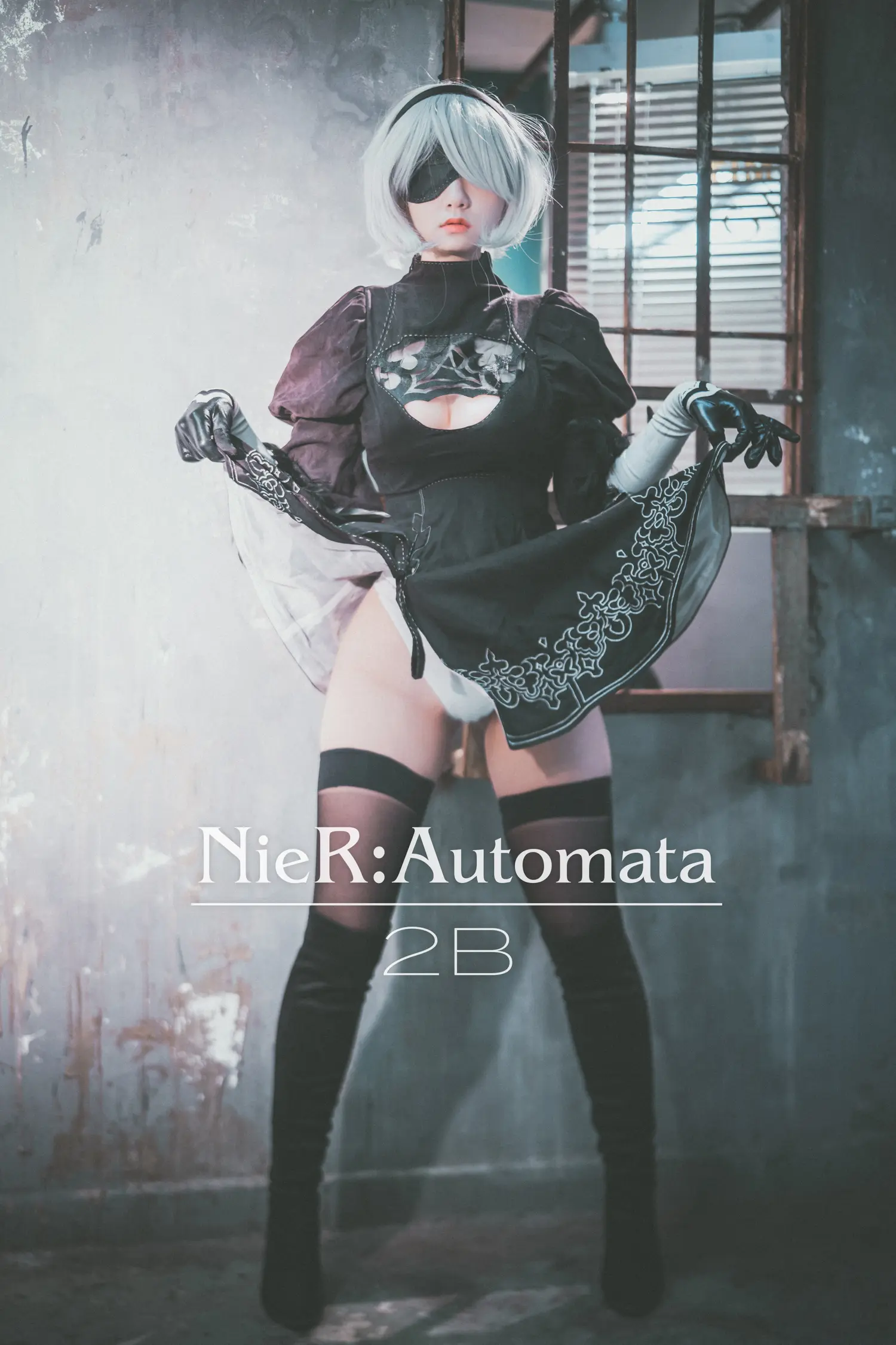 Jenny NO.027 NieR Automata 2B NO.0000