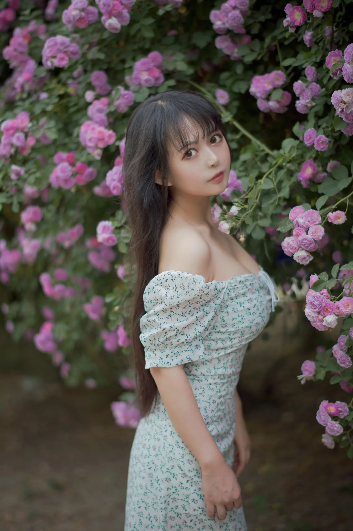 黑猫猫 NO.018 蔷薇2 NO.0000