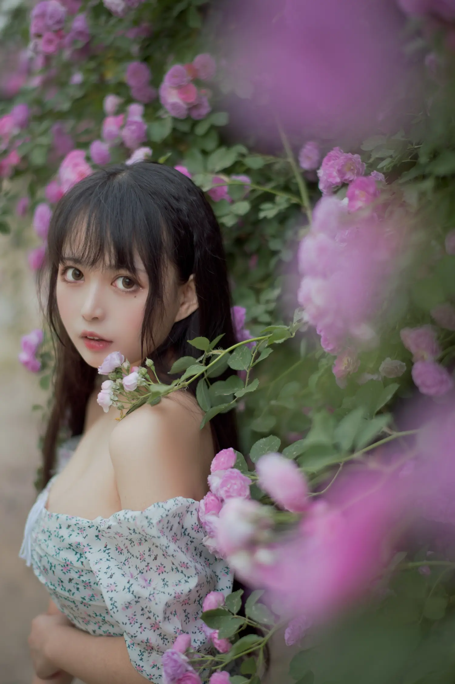 黑猫猫 NO.018 蔷薇2 NO.0000