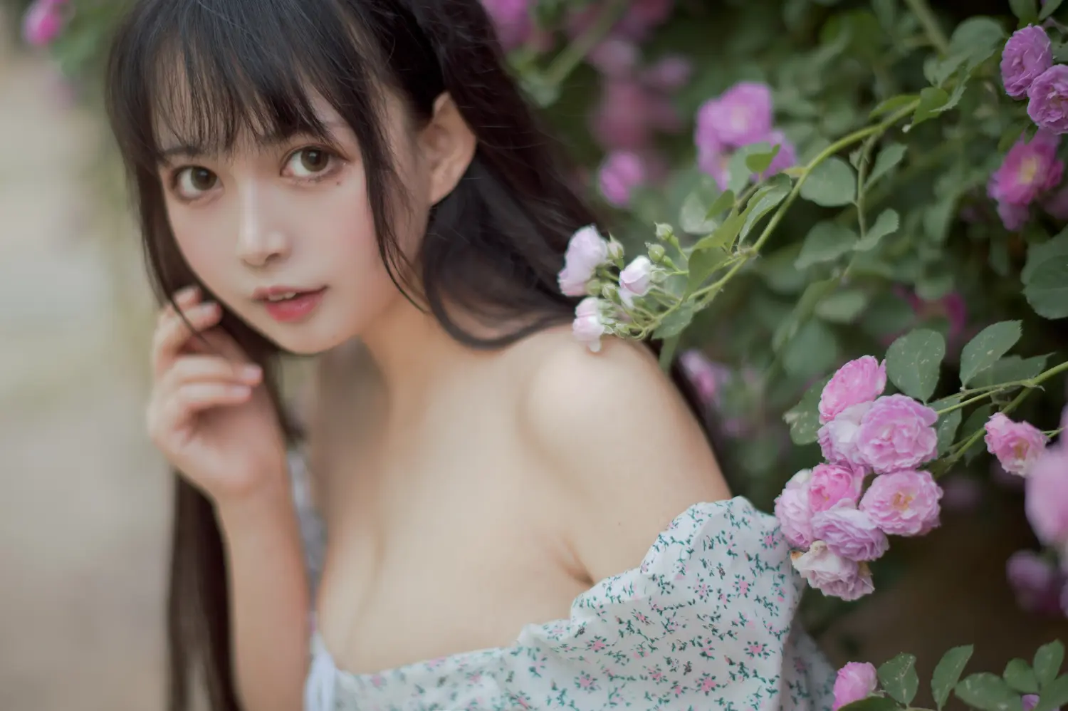 黑猫猫 NO.018 蔷薇2 NO.0000