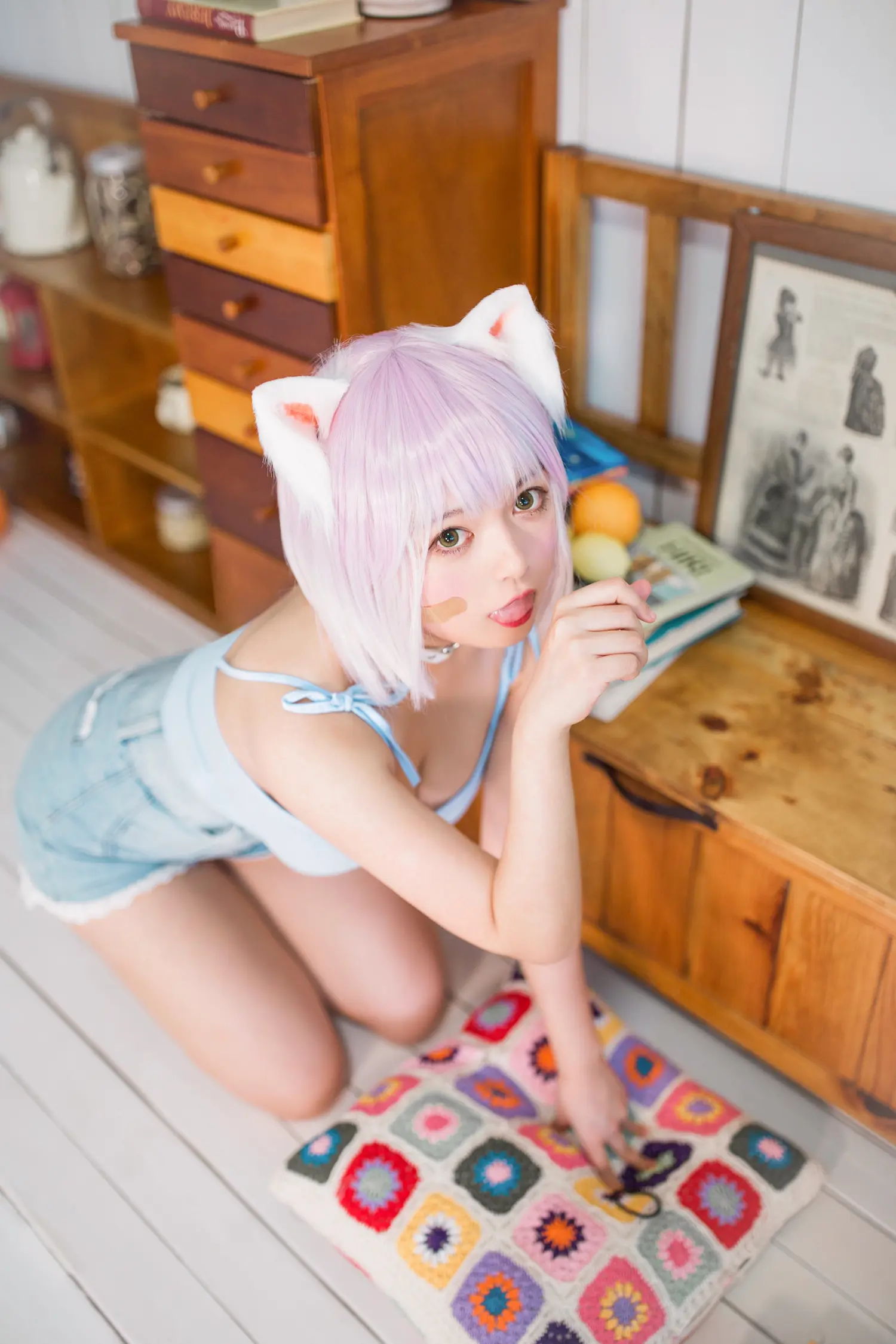 黑猫猫 NO.026 养猫小课堂 NO.0000