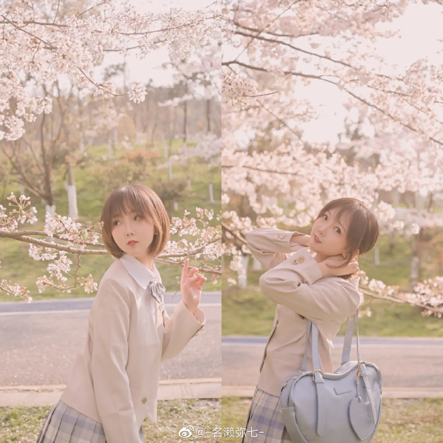 名濑弥七 NO.009 樱花 NO.0000
