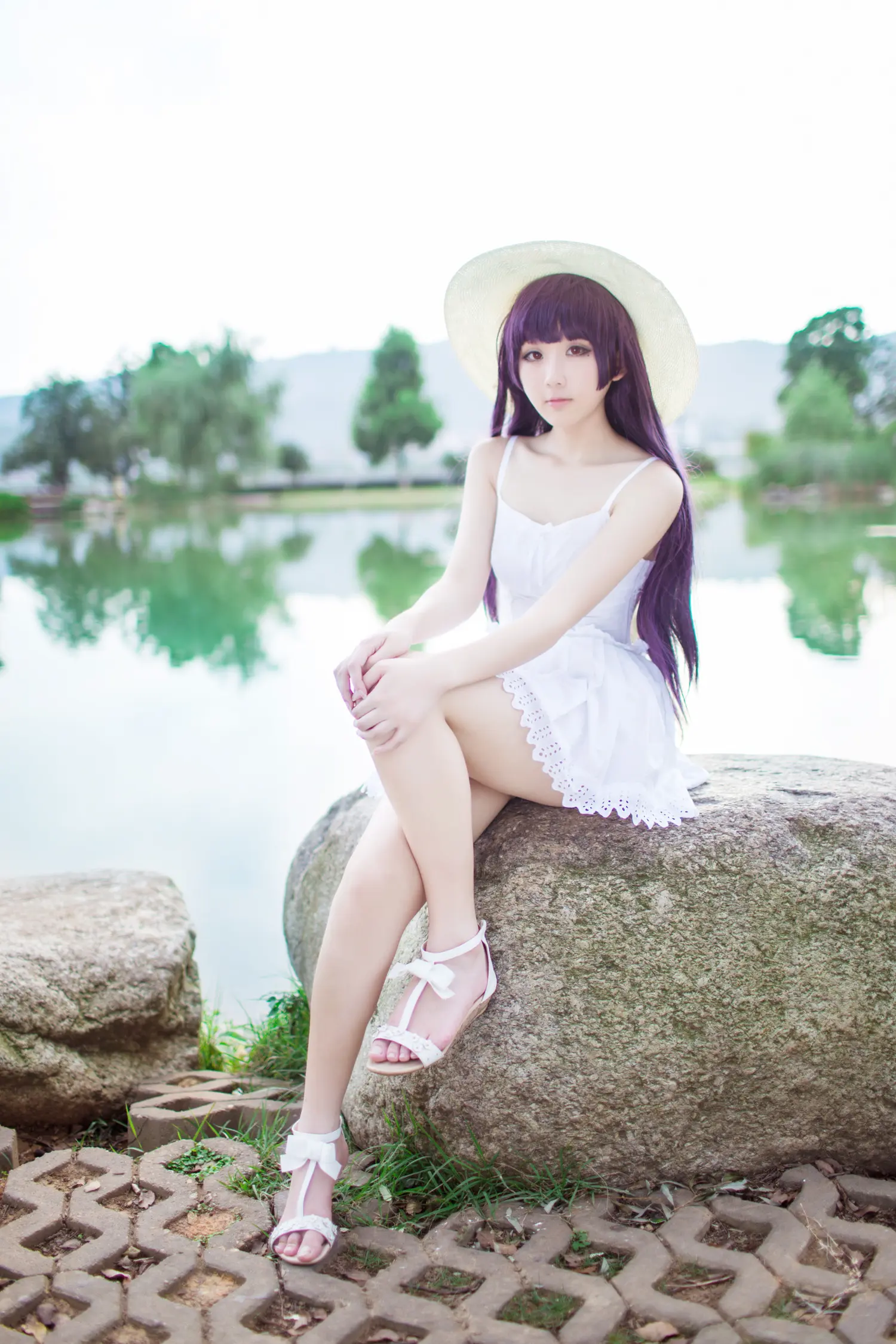 浅野菌子 NO.022 五更琉璃1 NO.0000