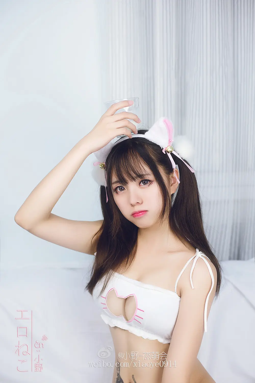 小野妹子 NO.002 开胸猫 NO.0000