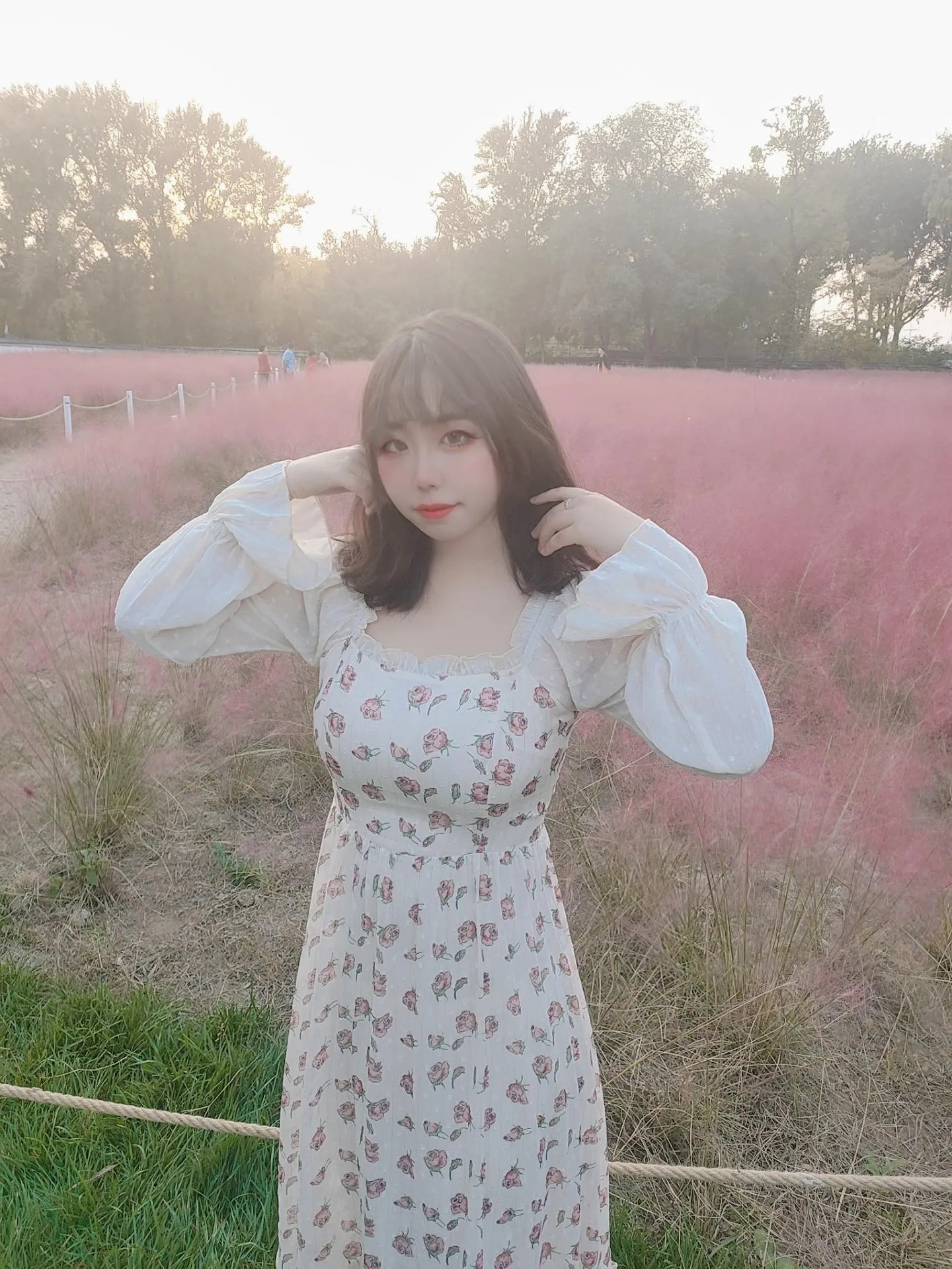 穆零Mu0 NO.024 粉草 NO.0000