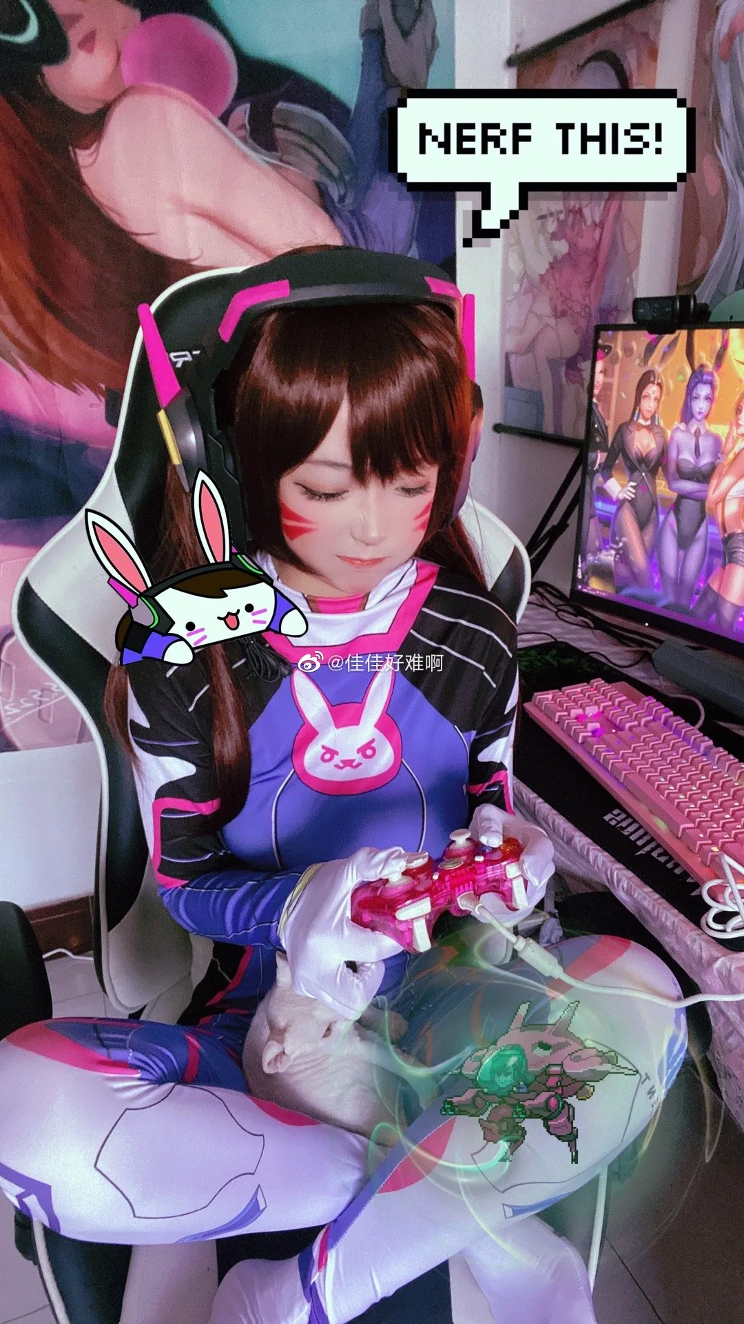 佳佳好难啊 NO.015 守望先锋DVA NO.0000